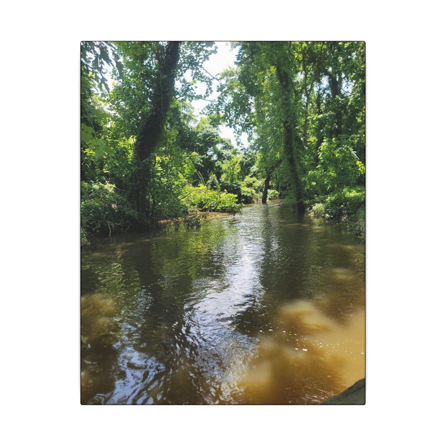 Scenic River Canvas Print, Nature Wall Art, Home Décor, Gift for Nature Lovers, Landscape Photography Decor