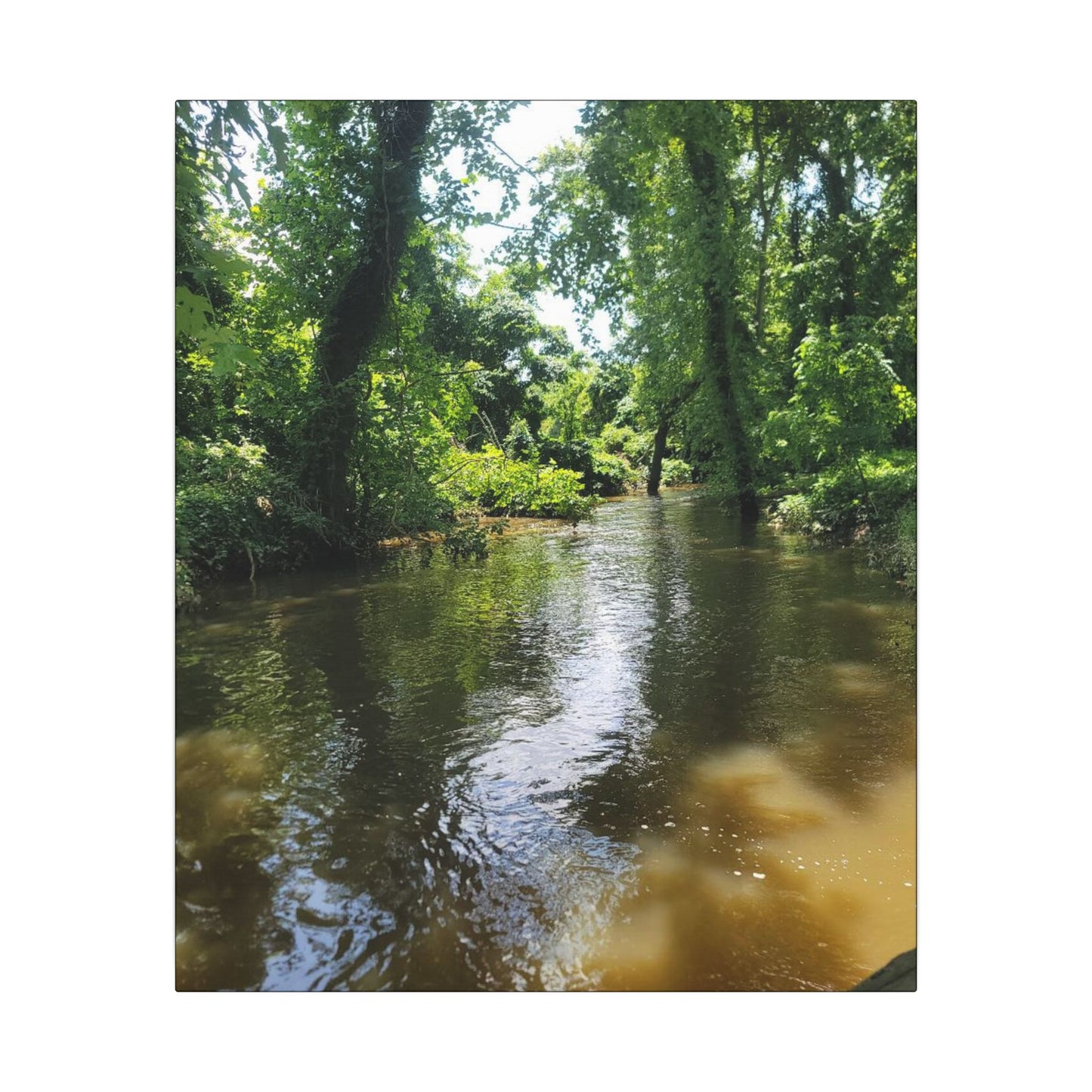 Scenic River Canvas Print, Nature Wall Art, Home Décor, Gift for Nature Lovers, Landscape Photography Decor