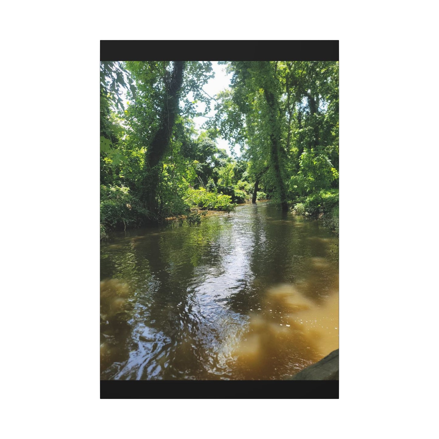 Scenic River Canvas Print, Nature Wall Art, Home Décor, Gift for Nature Lovers, Landscape Photography Decor