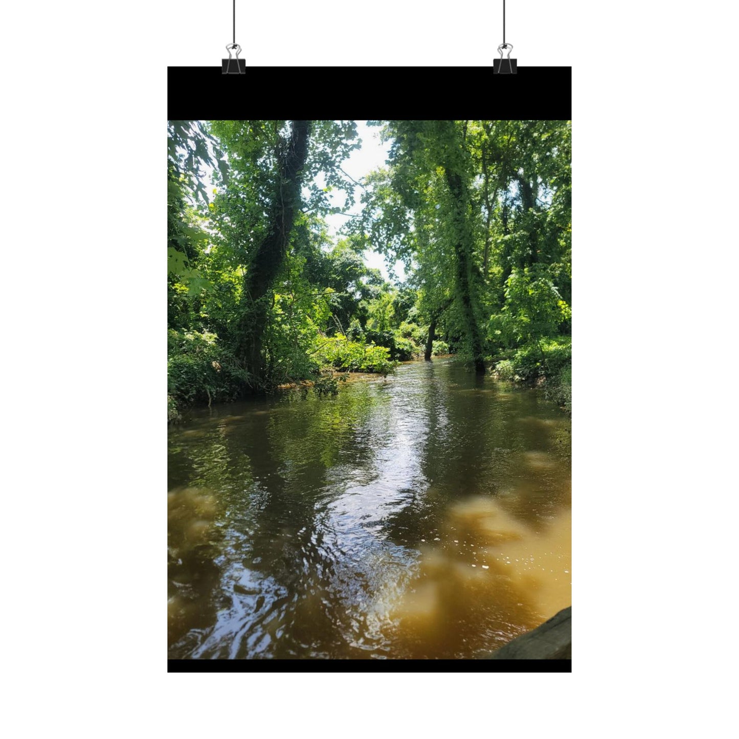 Serene Nature Wall Art, Matte Vertical Posters, Home Decor, Eco-Friendly Decor, Office Decor, Gift for Nature Lovers