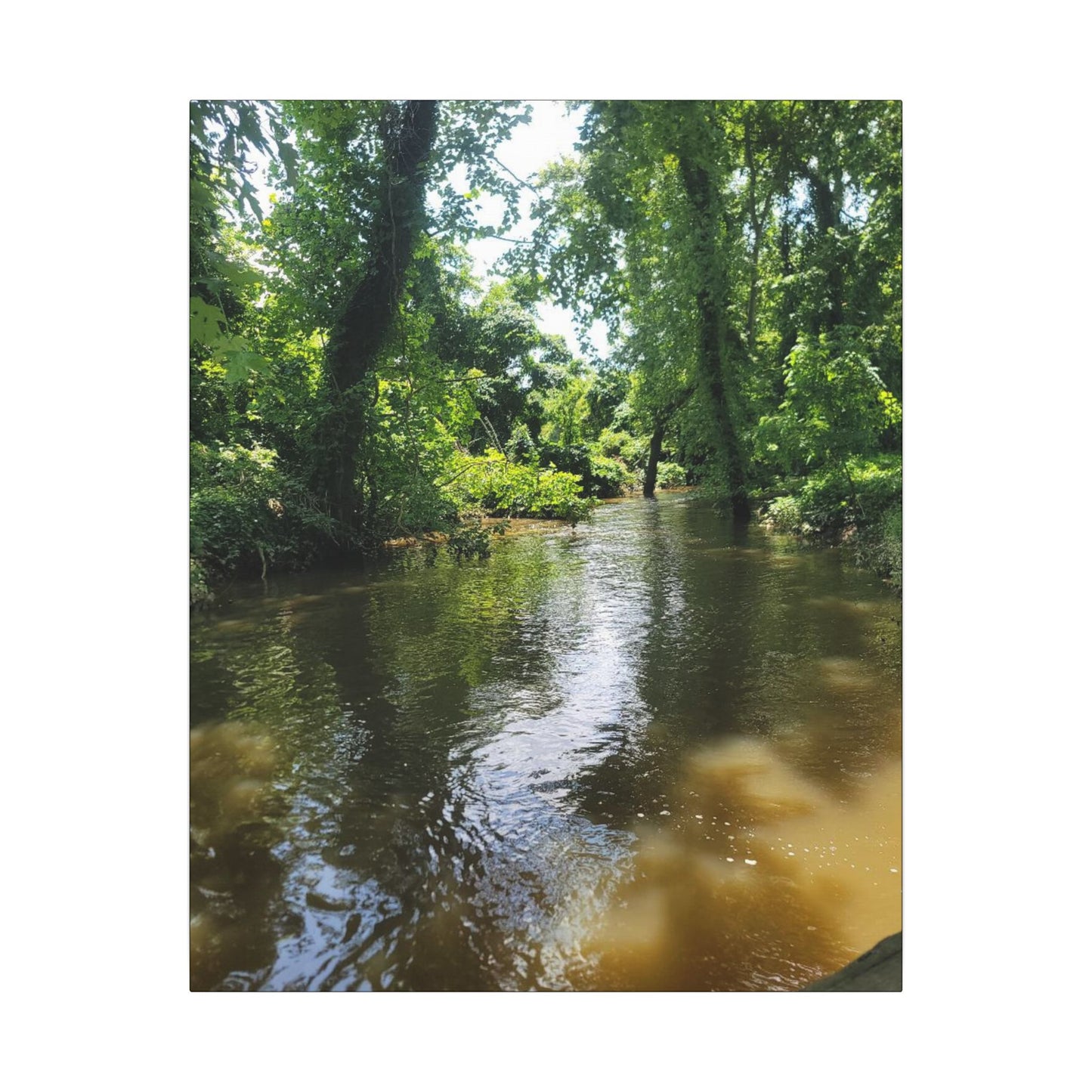 Scenic River Canvas Print, Nature Wall Art, Home Décor, Gift for Nature Lovers, Landscape Photography Decor