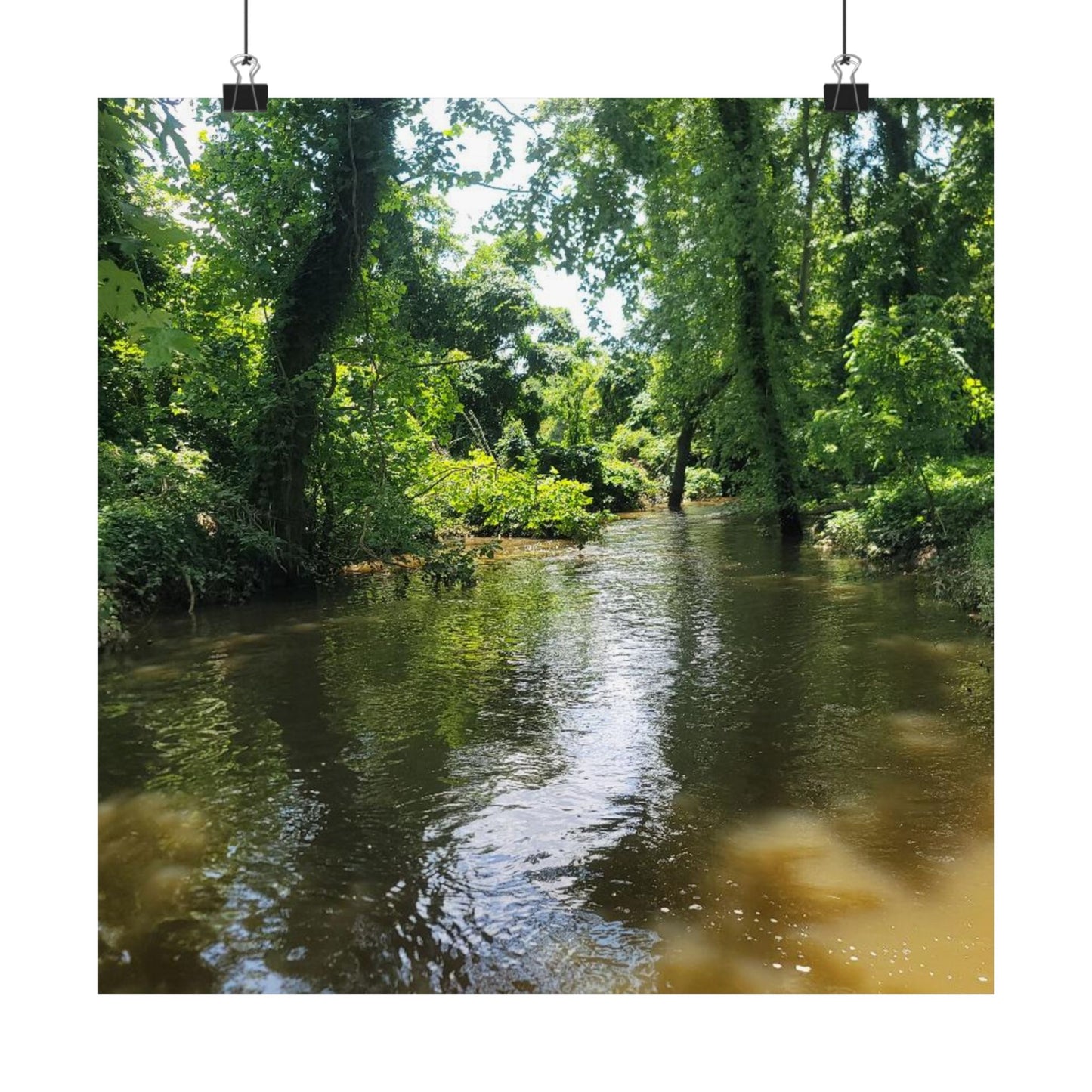 Serene Nature Wall Art, Matte Vertical Posters, Home Decor, Eco-Friendly Decor, Office Decor, Gift for Nature Lovers