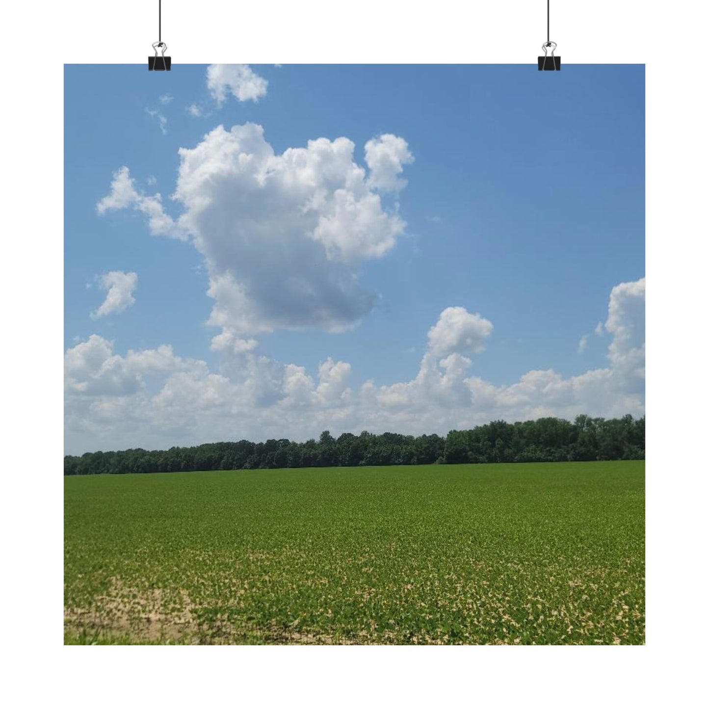 Scenic Matte Horizontal Posters for Home Decor, Wall Art, Nature-Inspired Decoration, Gifts for Nature Lovers, Housewarming Decor