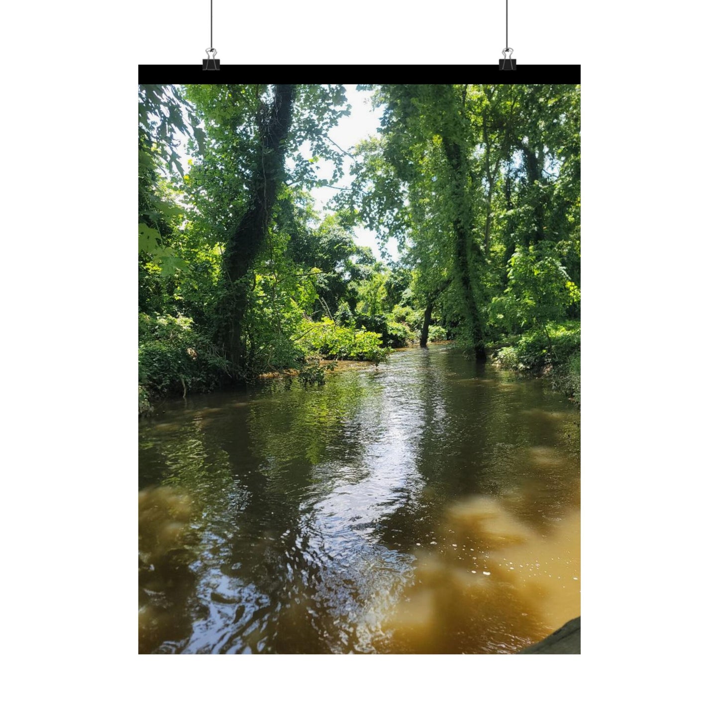 Serene Nature Wall Art, Matte Vertical Posters, Home Decor, Eco-Friendly Decor, Office Decor, Gift for Nature Lovers