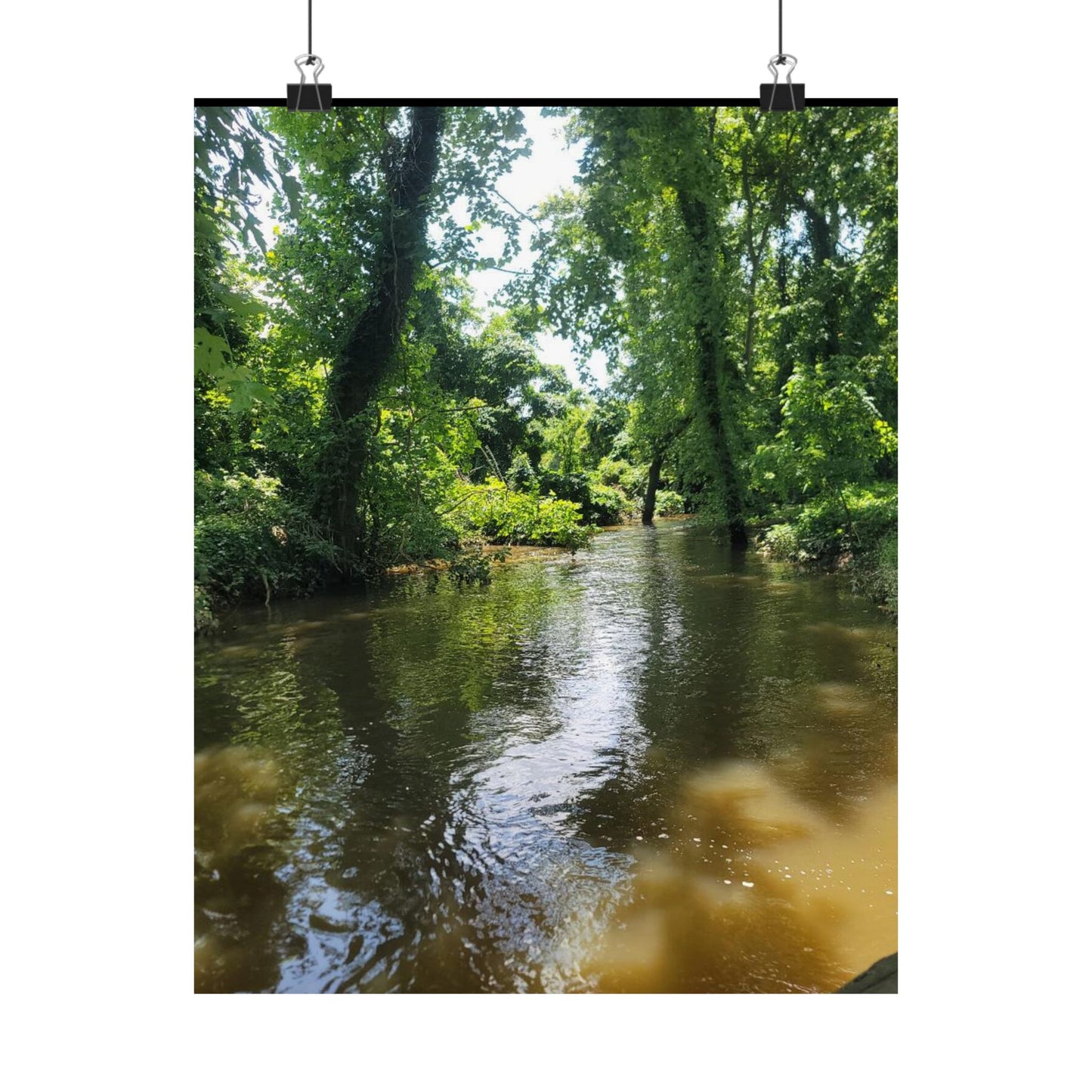 Serene Nature Wall Art, Matte Vertical Posters, Home Decor, Eco-Friendly Decor, Office Decor, Gift for Nature Lovers