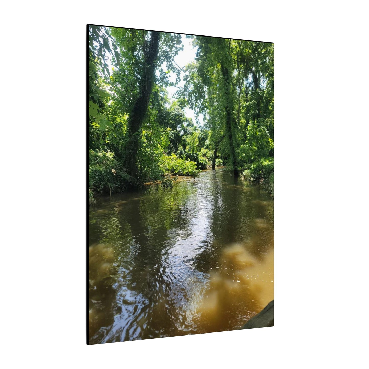 Scenic River Canvas Print, Nature Wall Art, Home Décor, Gift for Nature Lovers, Landscape Photography Decor