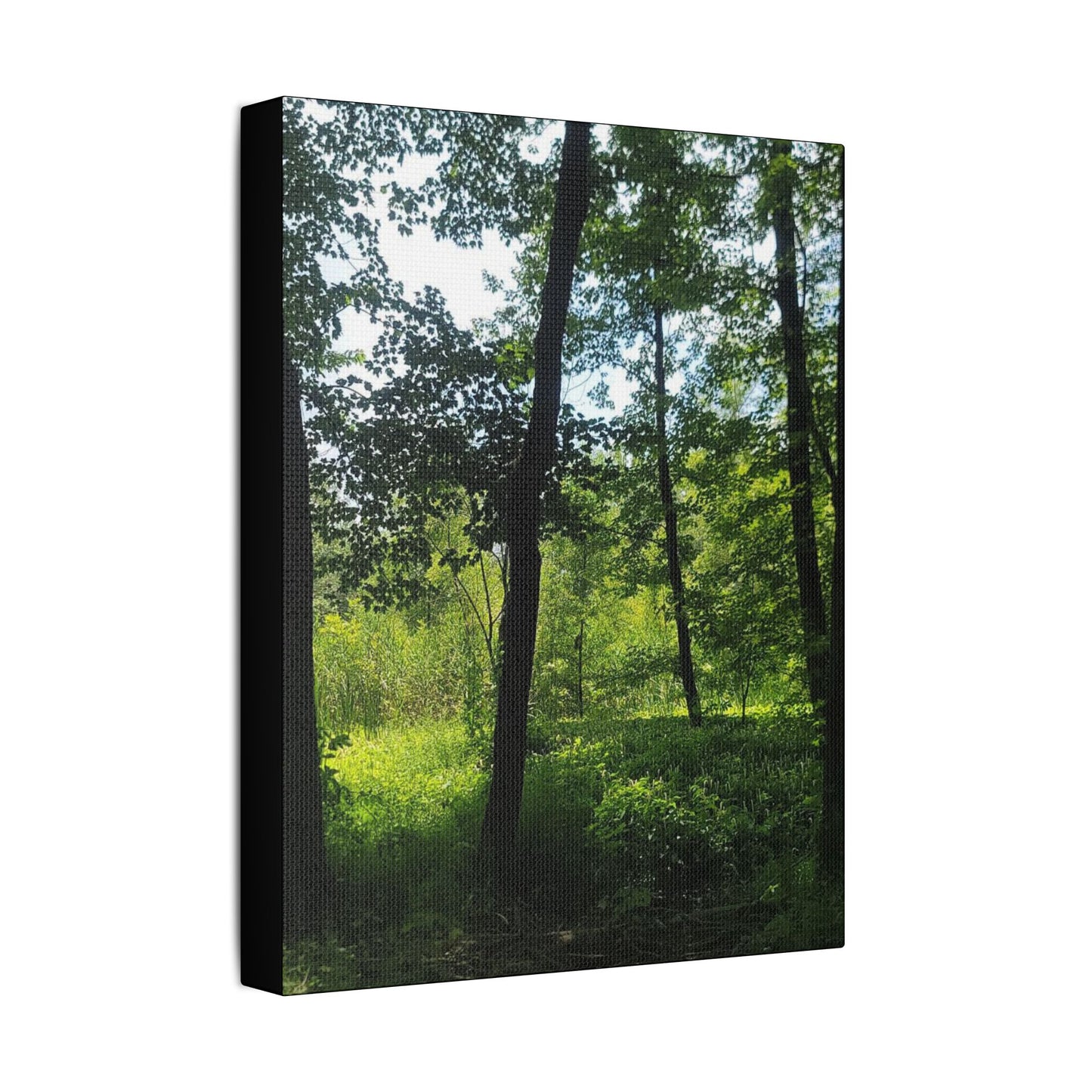 Scenic Canvas Wall Art - Nature-Inspired Home Decor, Forest Scene, Wall Hanging, Gift for Nature Lovers, Greenery Print
