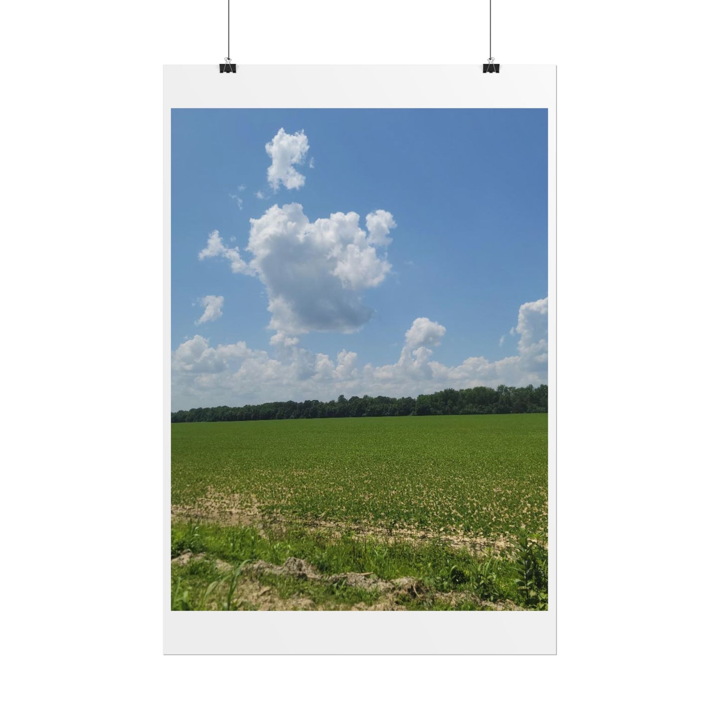 Nature Landscape Poster, Wall Art Print, Scenic Home Decor, Gift for Nature Lovers, Farmhouse Style Decoration, Office Wall Art