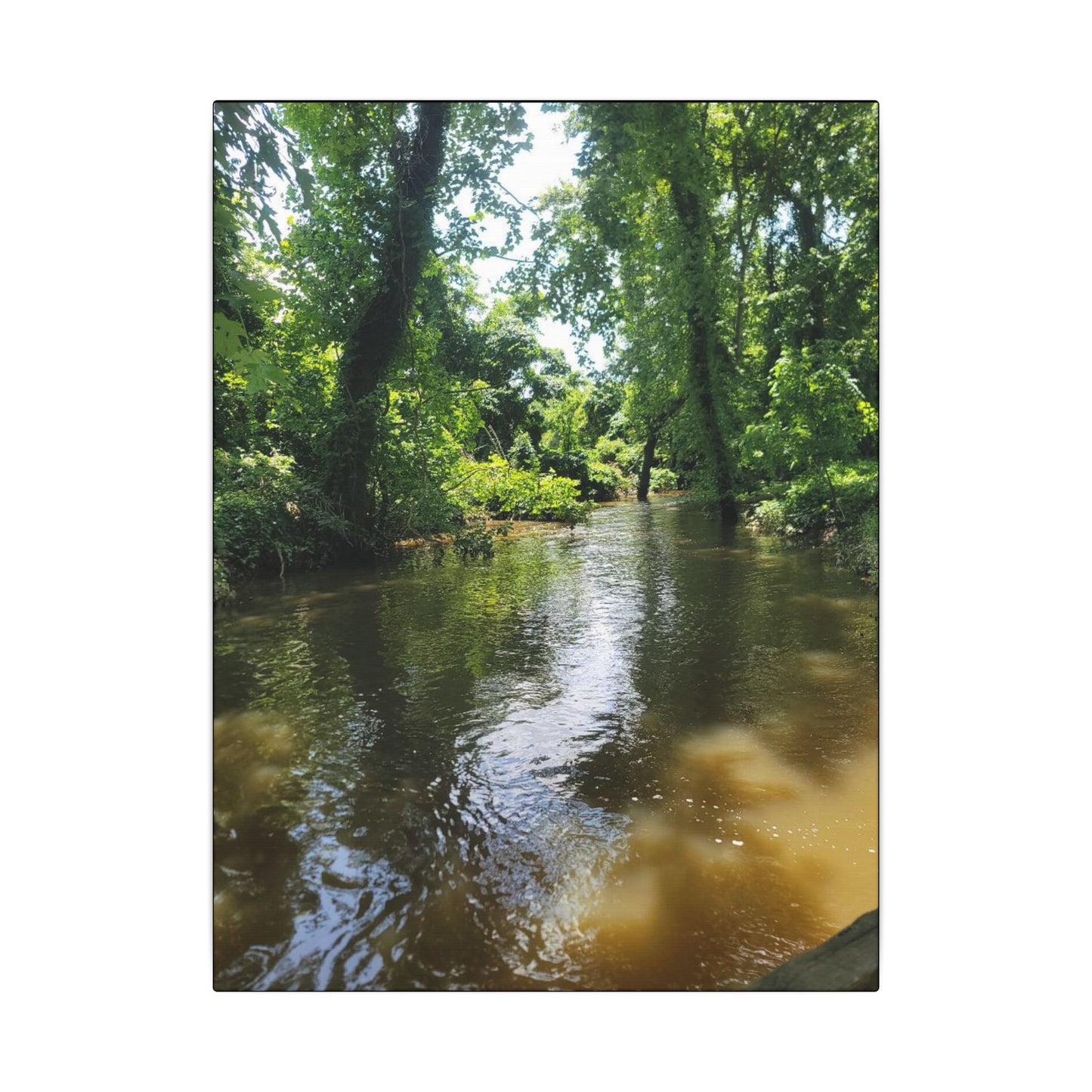 Scenic River Canvas Print, Nature Wall Art, Home Décor, Gift for Nature Lovers, Landscape Photography Decor