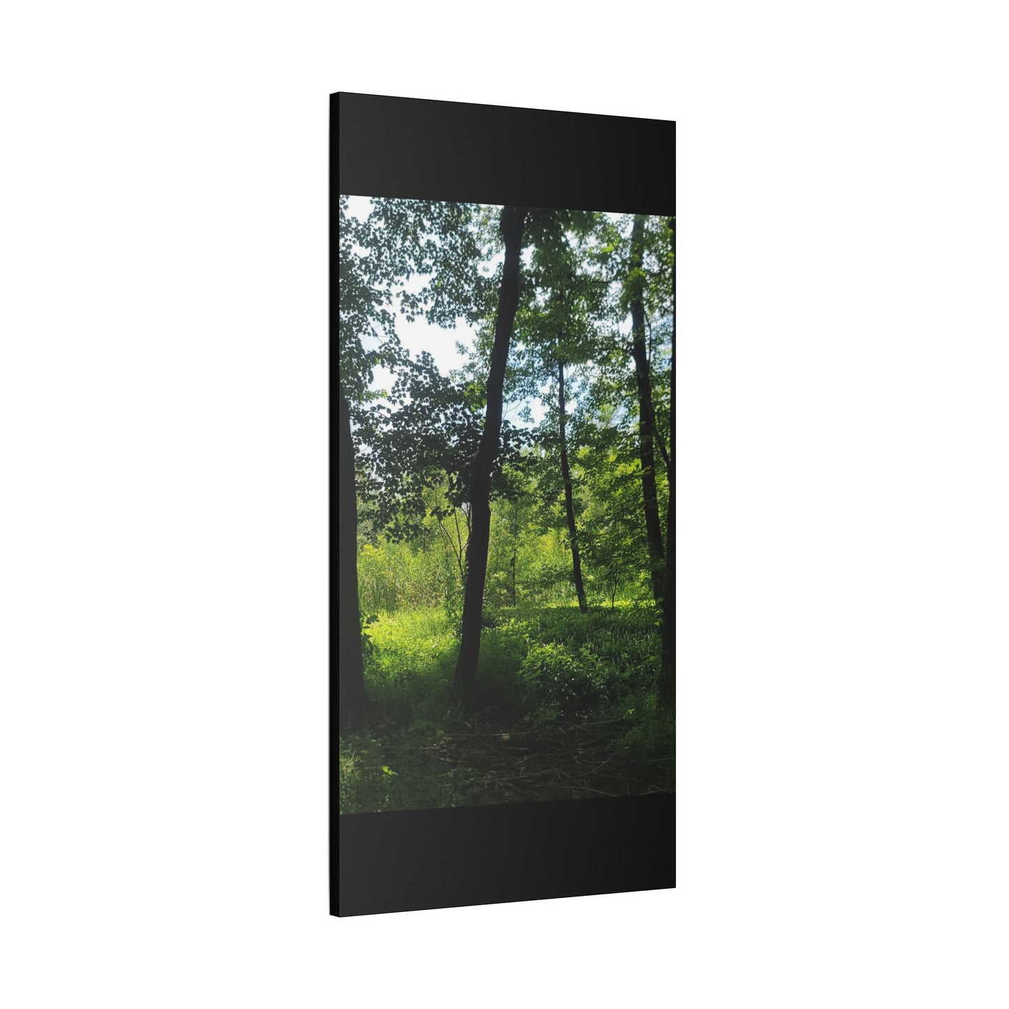 Scenic Canvas Wall Art - Nature-Inspired Home Decor, Forest Scene, Wall Hanging, Gift for Nature Lovers, Greenery Print