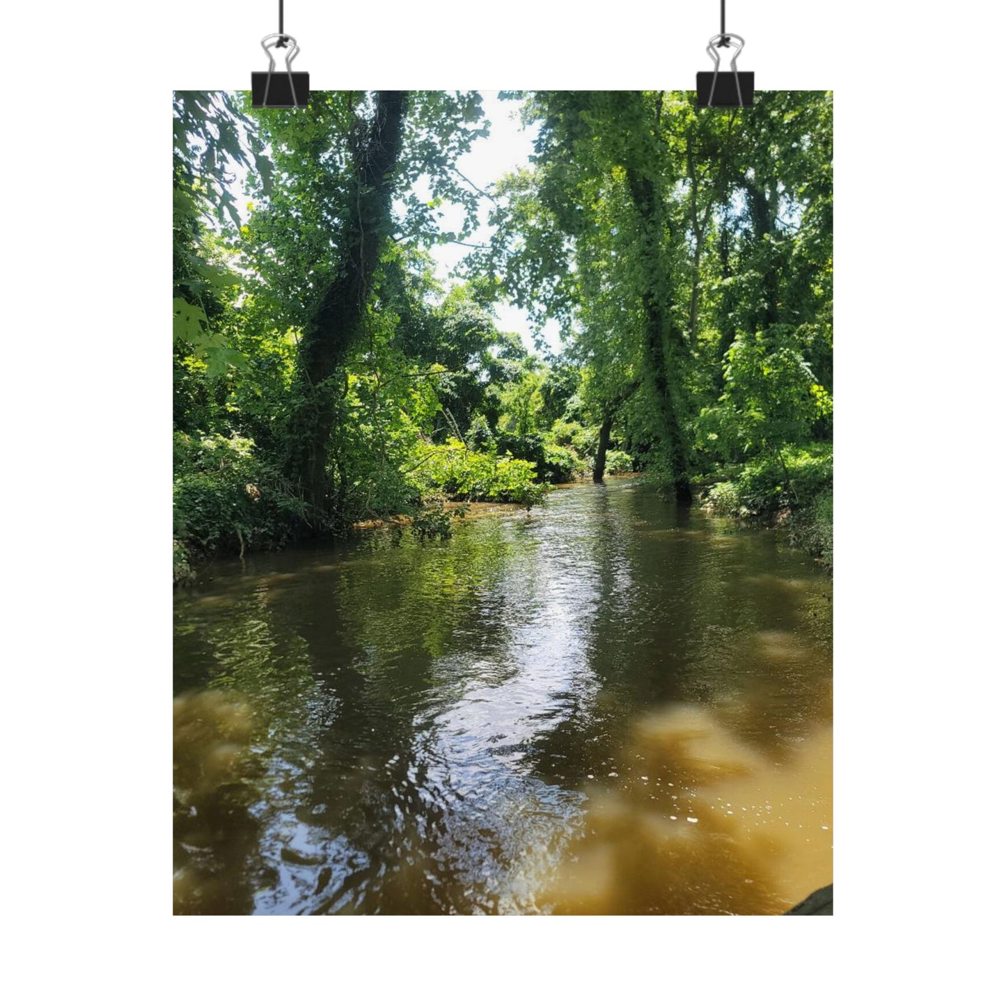 Serene Nature Wall Art, Matte Vertical Posters, Home Decor, Eco-Friendly Decor, Office Decor, Gift for Nature Lovers