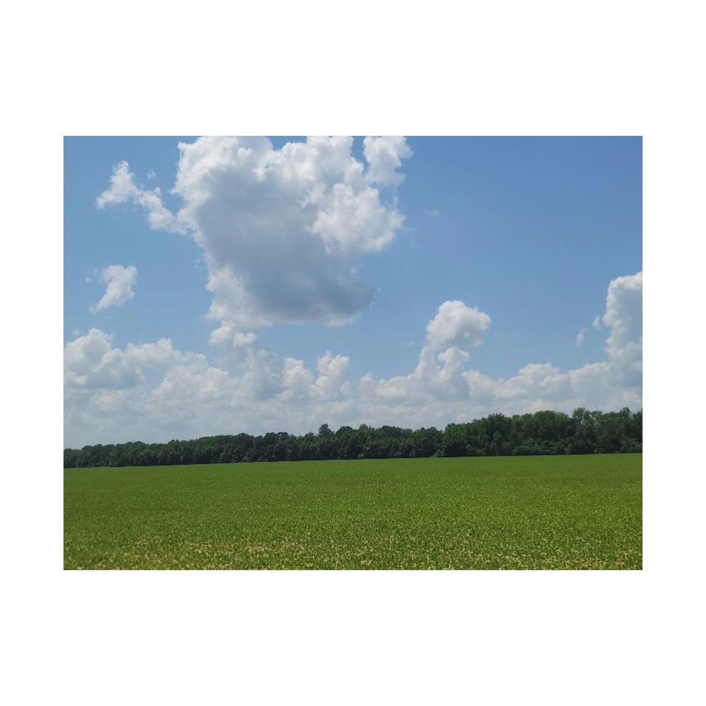 Scenic Matte Horizontal Posters for Home Decor, Wall Art, Nature-Inspired Decoration, Gifts for Nature Lovers, Housewarming Decor