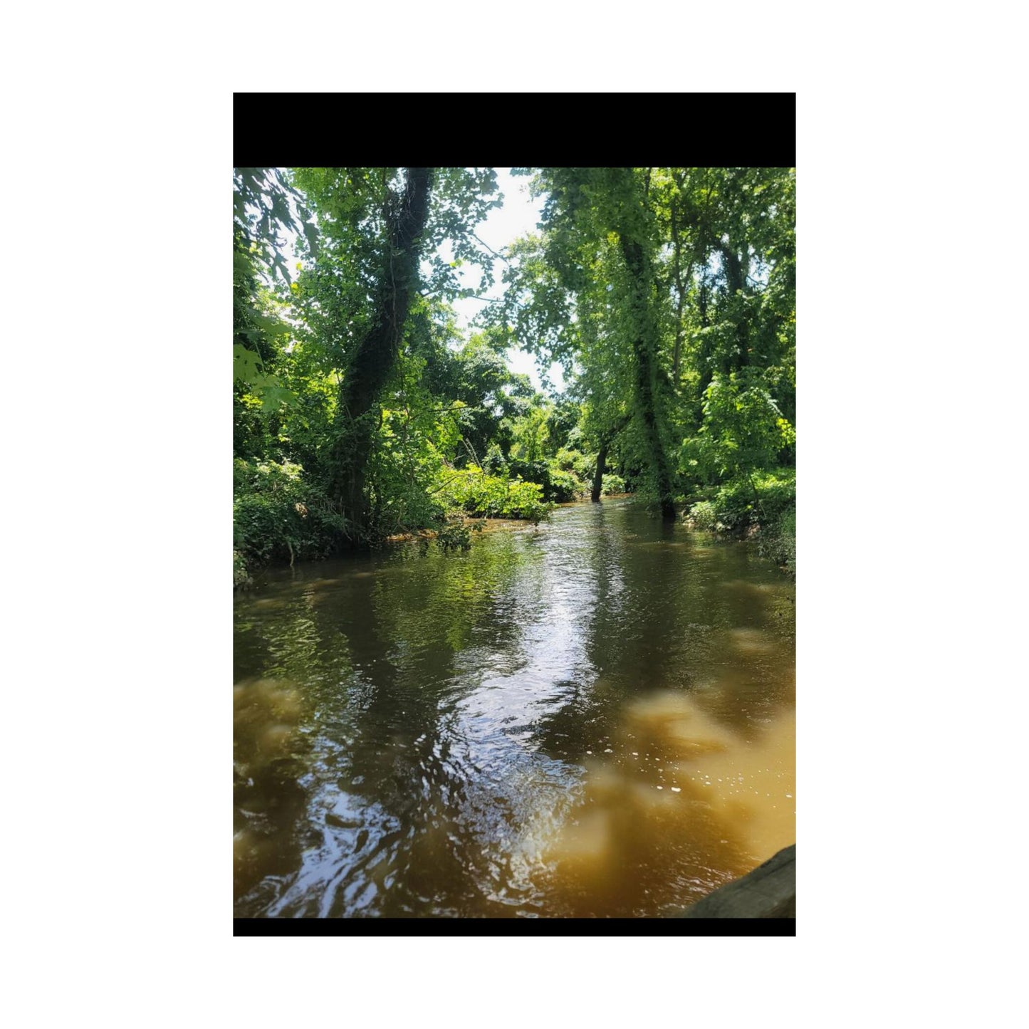 Serene Nature Wall Art, Matte Vertical Posters, Home Decor, Eco-Friendly Decor, Office Decor, Gift for Nature Lovers