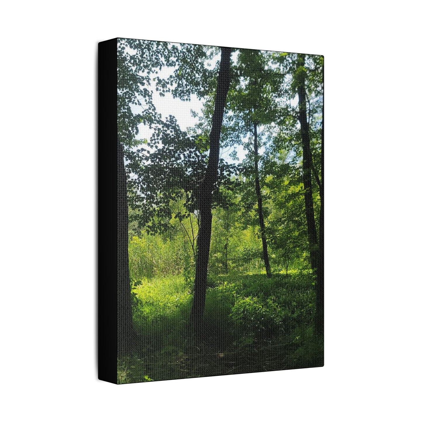 Scenic Canvas Wall Art - Nature-Inspired Home Decor, Forest Scene, Wall Hanging, Gift for Nature Lovers, Greenery Print