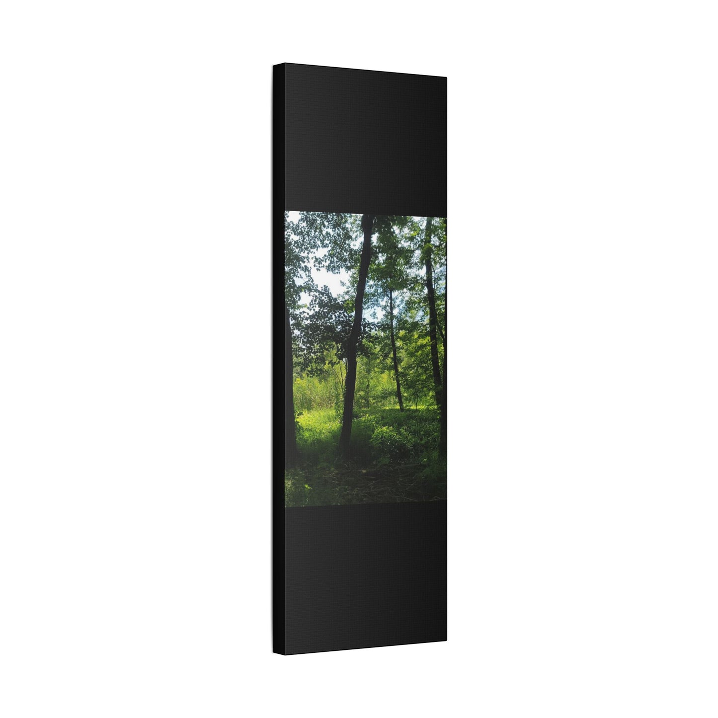 Scenic Canvas Wall Art - Nature-Inspired Home Decor, Forest Scene, Wall Hanging, Gift for Nature Lovers, Greenery Print
