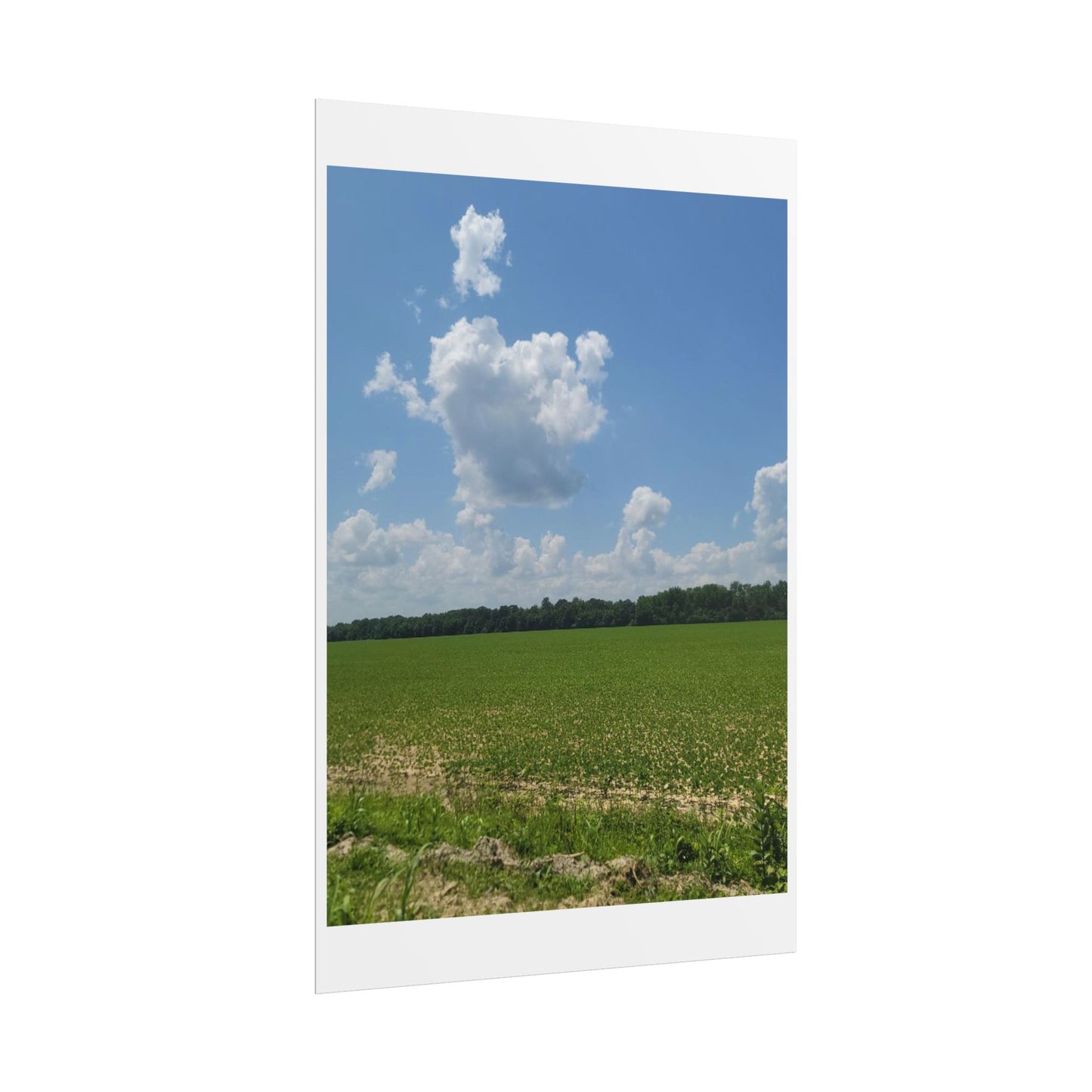 Nature Landscape Poster, Wall Art Print, Scenic Home Decor, Gift for Nature Lovers, Farmhouse Style Decoration, Office Wall Art