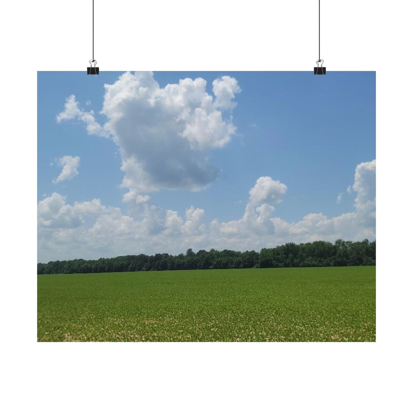 Scenic Matte Horizontal Posters for Home Decor, Wall Art, Nature-Inspired Decoration, Gifts for Nature Lovers, Housewarming Decor