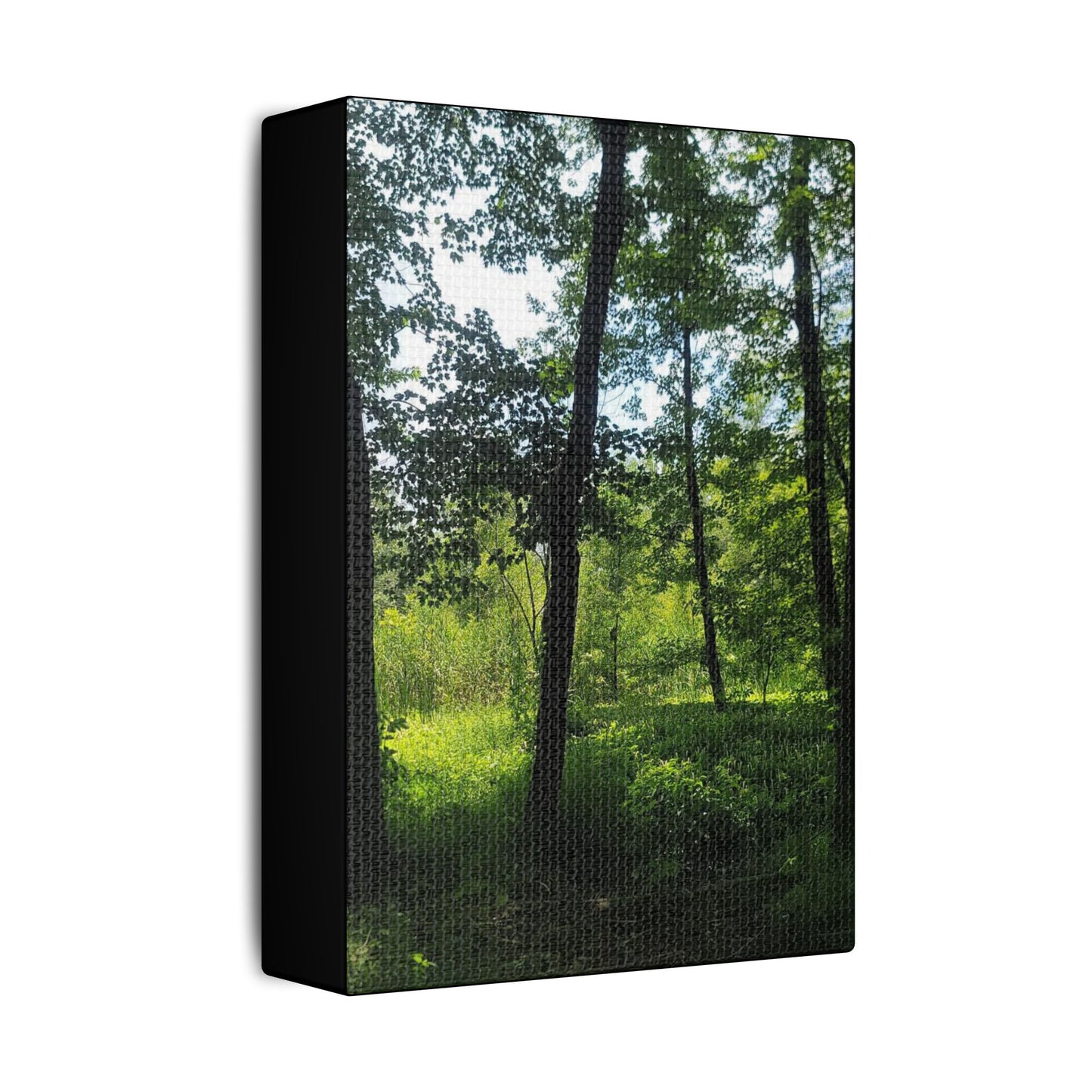 Scenic Canvas Wall Art - Nature-Inspired Home Decor, Forest Scene, Wall Hanging, Gift for Nature Lovers, Greenery Print