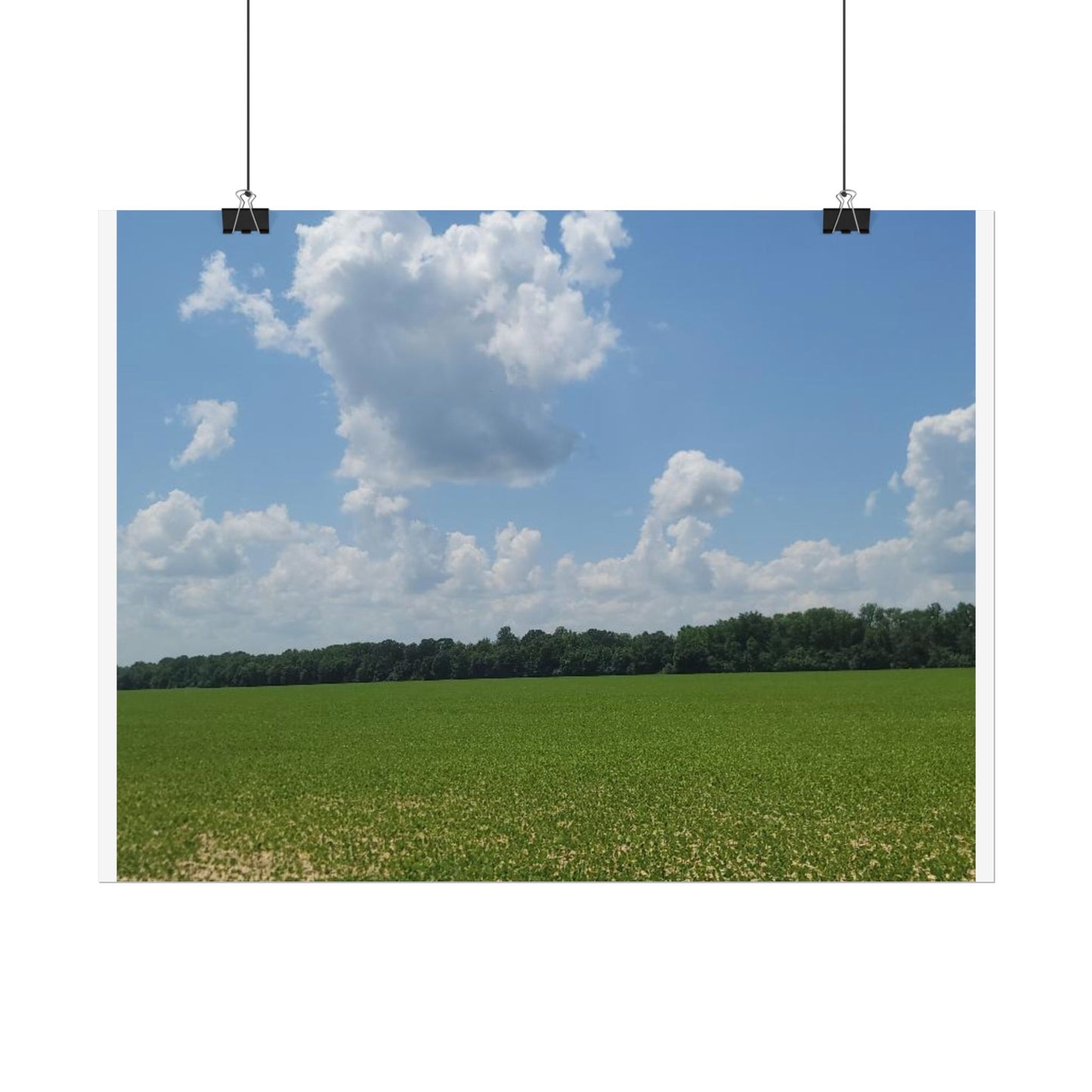 Nature Landscape Poster, Wall Art Print, Scenic Home Decor, Gift for Nature Lovers, Farmhouse Style Decoration, Office Wall Art