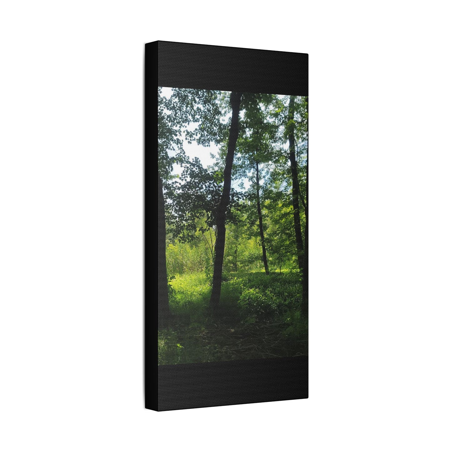 Scenic Canvas Wall Art - Nature-Inspired Home Decor, Forest Scene, Wall Hanging, Gift for Nature Lovers, Greenery Print