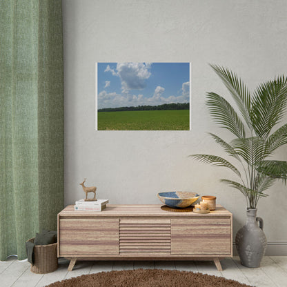 Nature Landscape Poster, Wall Art Print, Scenic Home Decor, Gift for Nature Lovers, Farmhouse Style Decoration, Office Wall Art