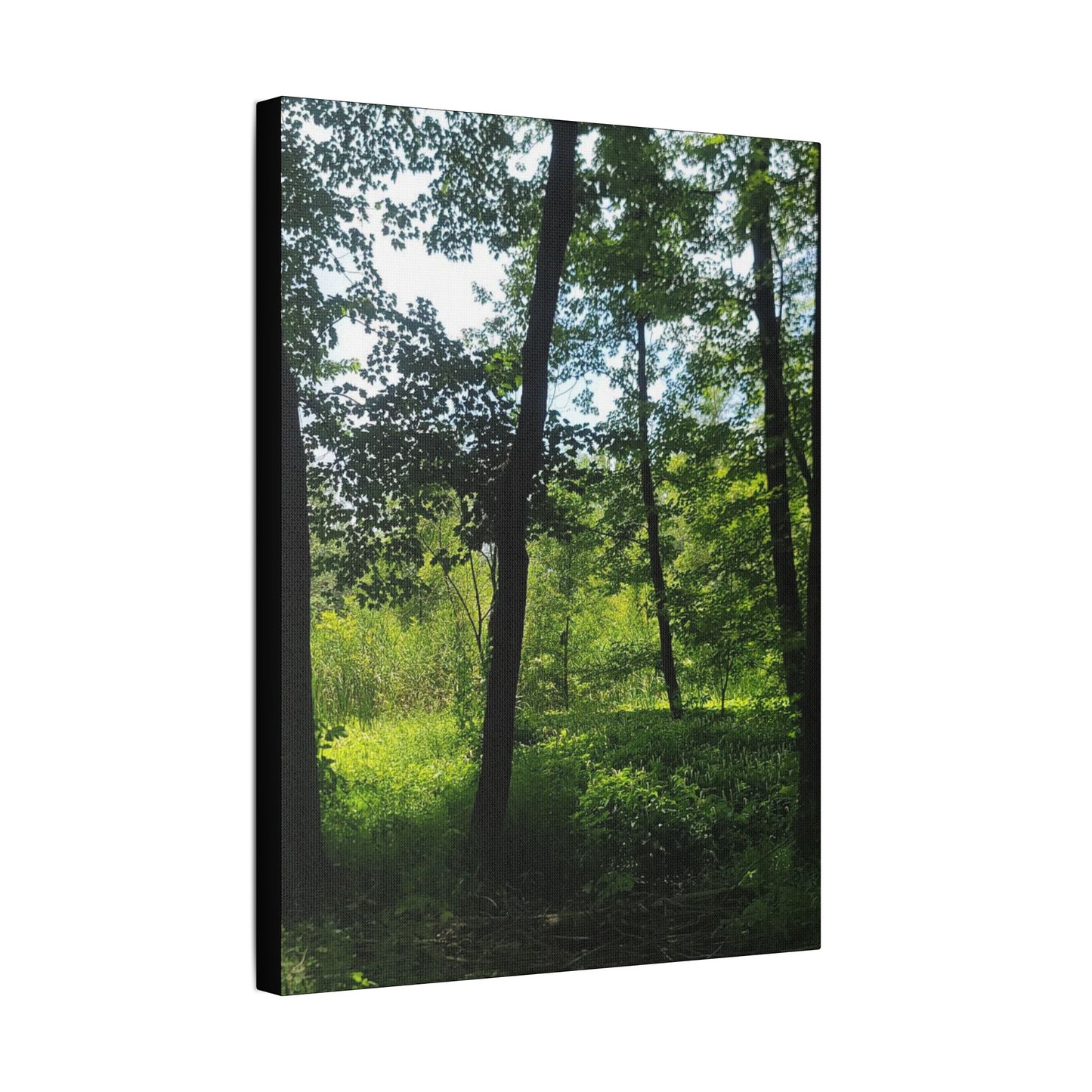 Scenic Canvas Wall Art - Nature-Inspired Home Decor, Forest Scene, Wall Hanging, Gift for Nature Lovers, Greenery Print