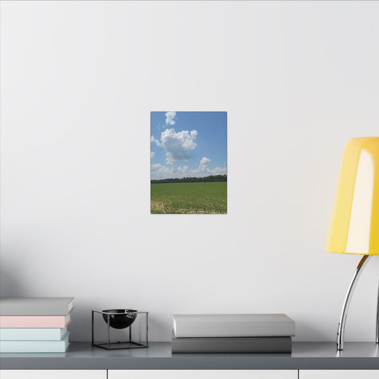 Serene Landscape Canvas Wall Art, Nature Decor for Home, Farmhouse, Gift for Nature Lovers, Rustic Wall Art, Living Room Decoration