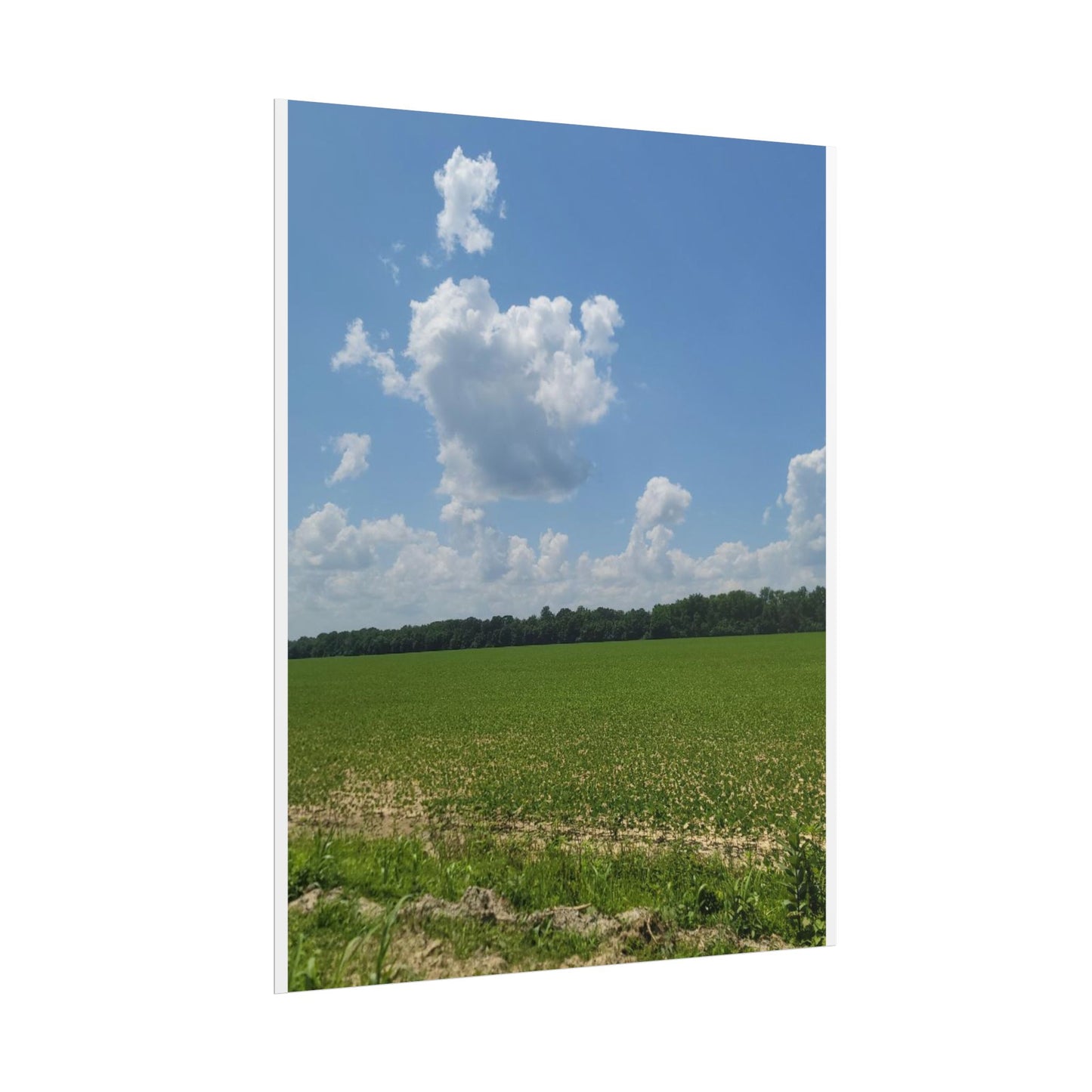 Nature Landscape Poster, Wall Art Print, Scenic Home Decor, Gift for Nature Lovers, Farmhouse Style Decoration, Office Wall Art