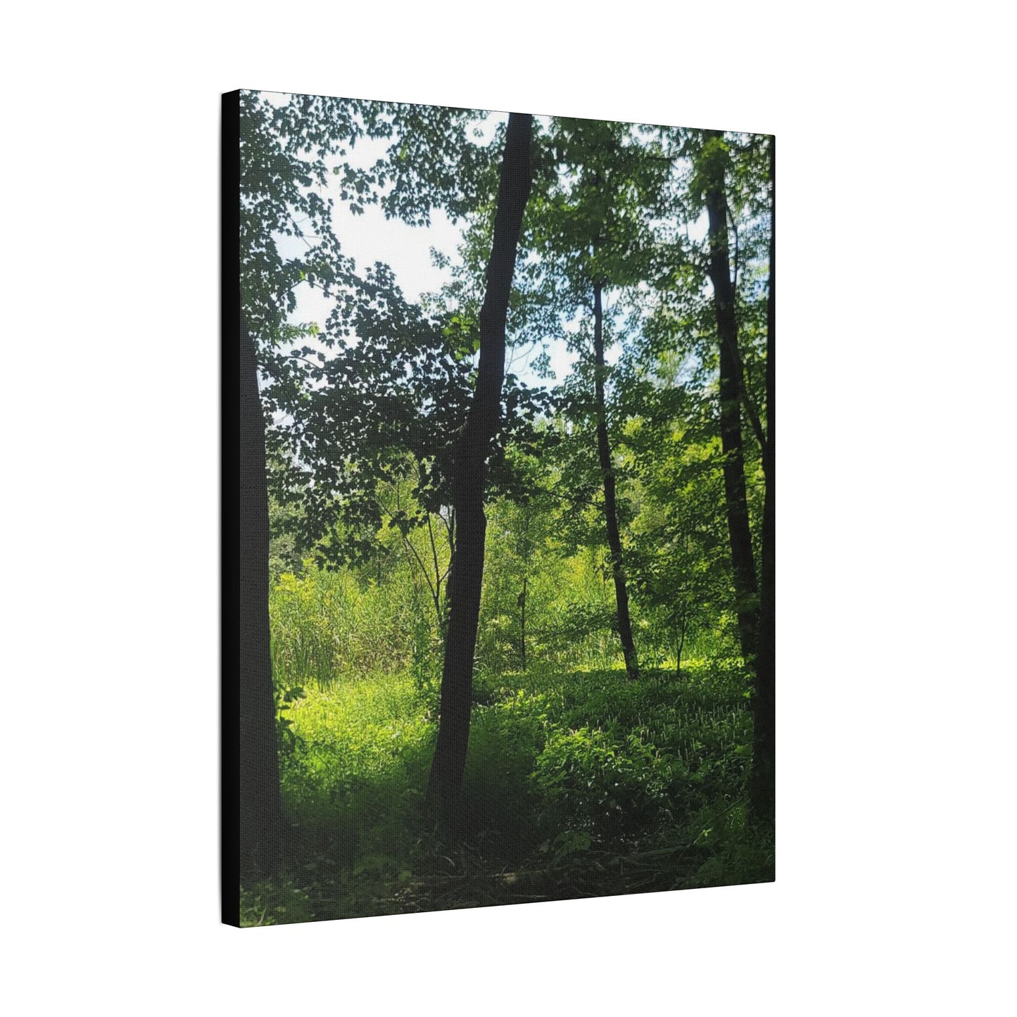 Scenic Canvas Wall Art - Nature-Inspired Home Decor, Forest Scene, Wall Hanging, Gift for Nature Lovers, Greenery Print