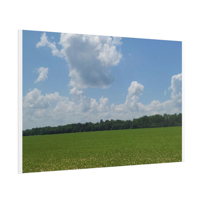 Nature Landscape Poster, Wall Art Print, Scenic Home Decor, Gift for Nature Lovers, Farmhouse Style Decoration, Office Wall Art