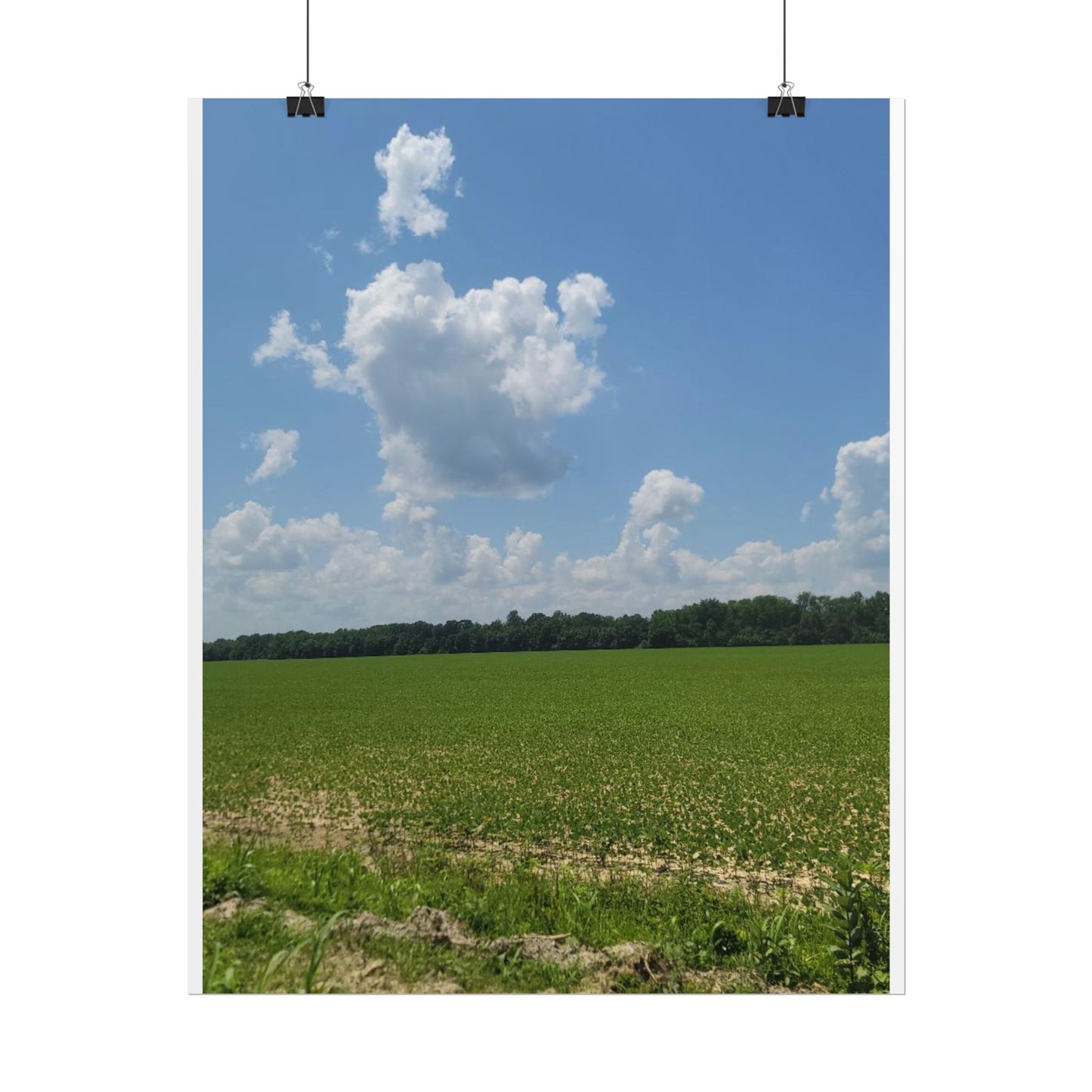 Nature Landscape Poster, Wall Art Print, Scenic Home Decor, Gift for Nature Lovers, Farmhouse Style Decoration, Office Wall Art