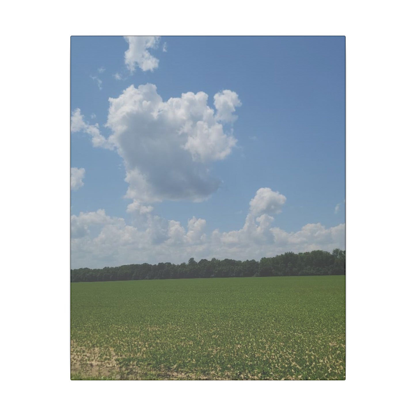 Serene Landscape Canvas Wall Art, Nature Decor for Home, Farmhouse, Gift for Nature Lovers, Rustic Wall Art, Living Room Decoration