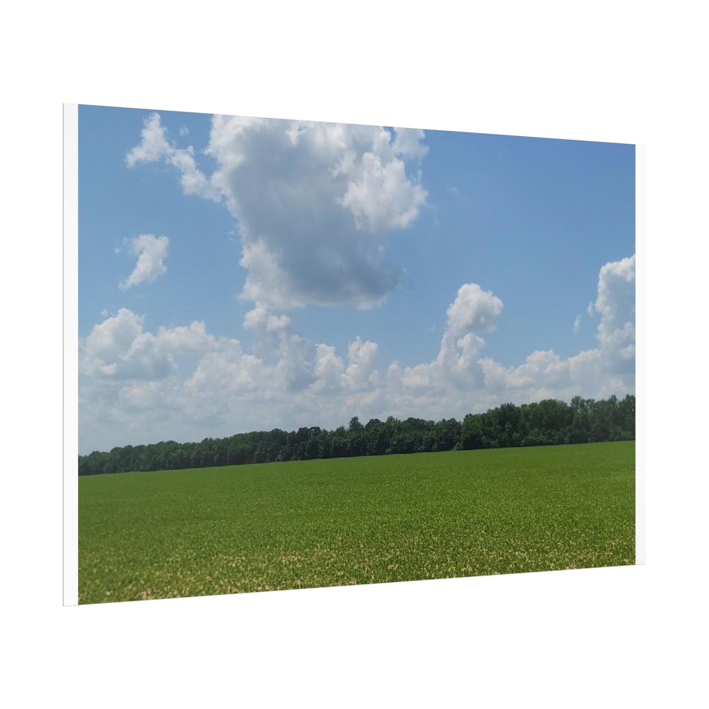 Nature Landscape Poster, Wall Art Print, Scenic Home Decor, Gift for Nature Lovers, Farmhouse Style Decoration, Office Wall Art