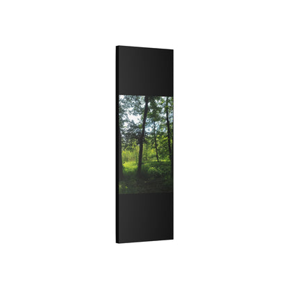 Scenic Canvas Wall Art - Nature-Inspired Home Decor, Forest Scene, Wall Hanging, Gift for Nature Lovers, Greenery Print