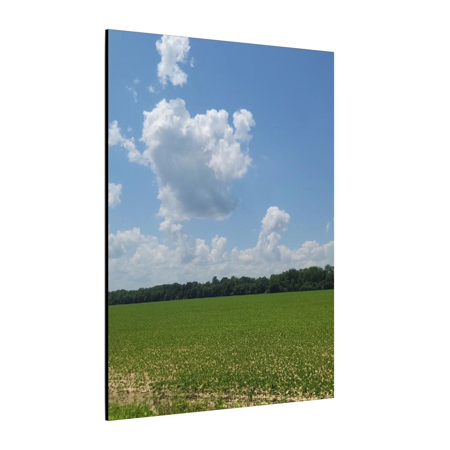 Serene Landscape Canvas Wall Art, Nature Decor for Home, Farmhouse, Gift for Nature Lovers, Rustic Wall Art, Living Room Decoration