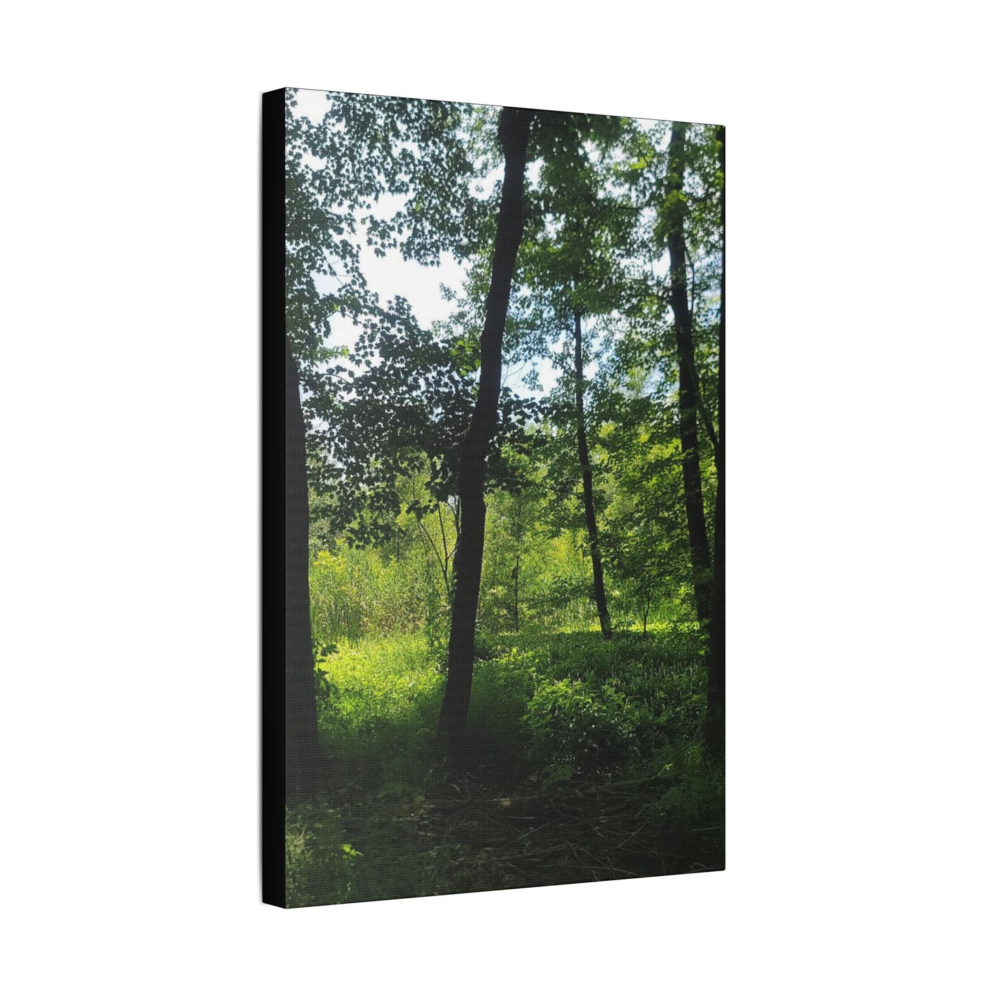 Scenic Canvas Wall Art - Nature-Inspired Home Decor, Forest Scene, Wall Hanging, Gift for Nature Lovers, Greenery Print