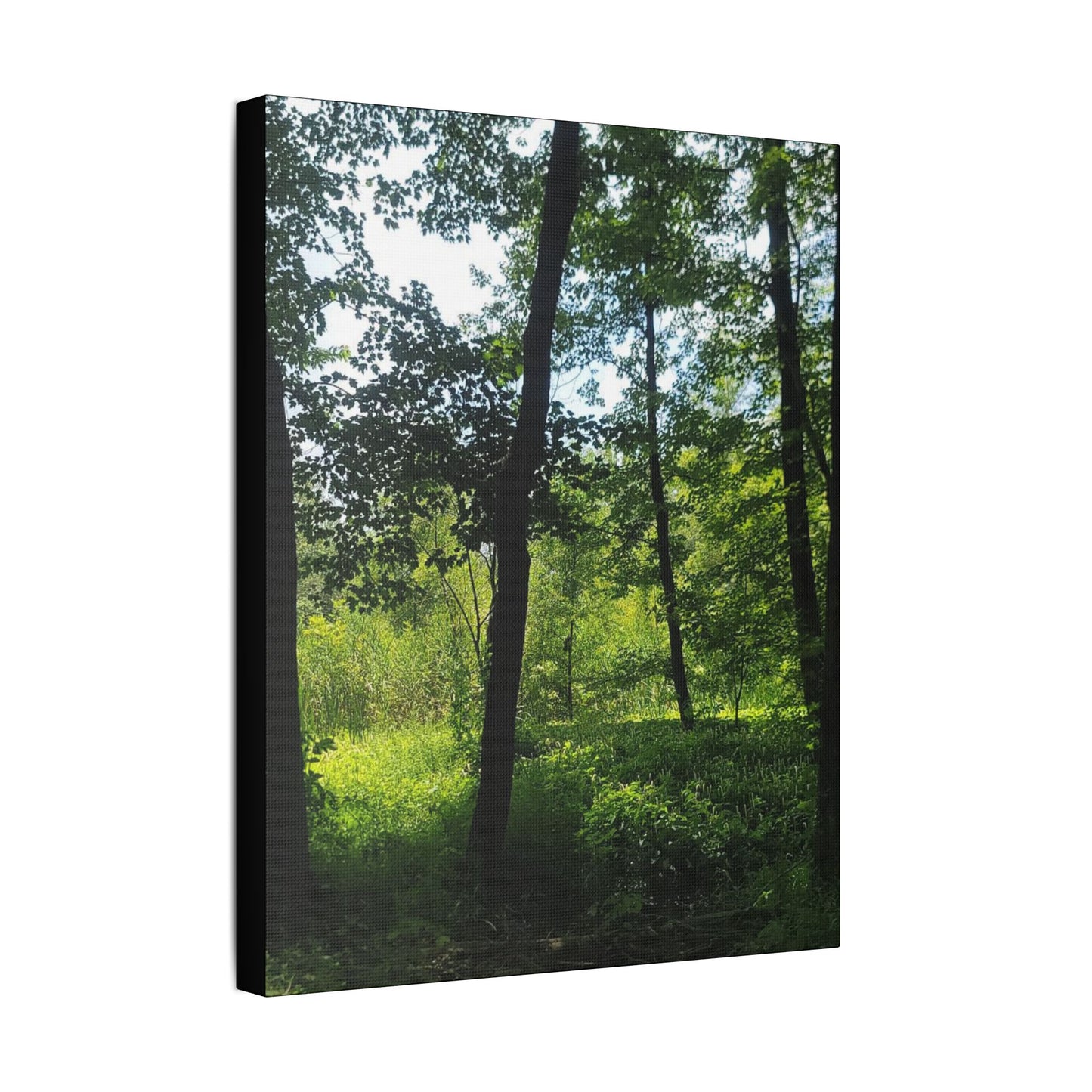 Scenic Canvas Wall Art - Nature-Inspired Home Decor, Forest Scene, Wall Hanging, Gift for Nature Lovers, Greenery Print