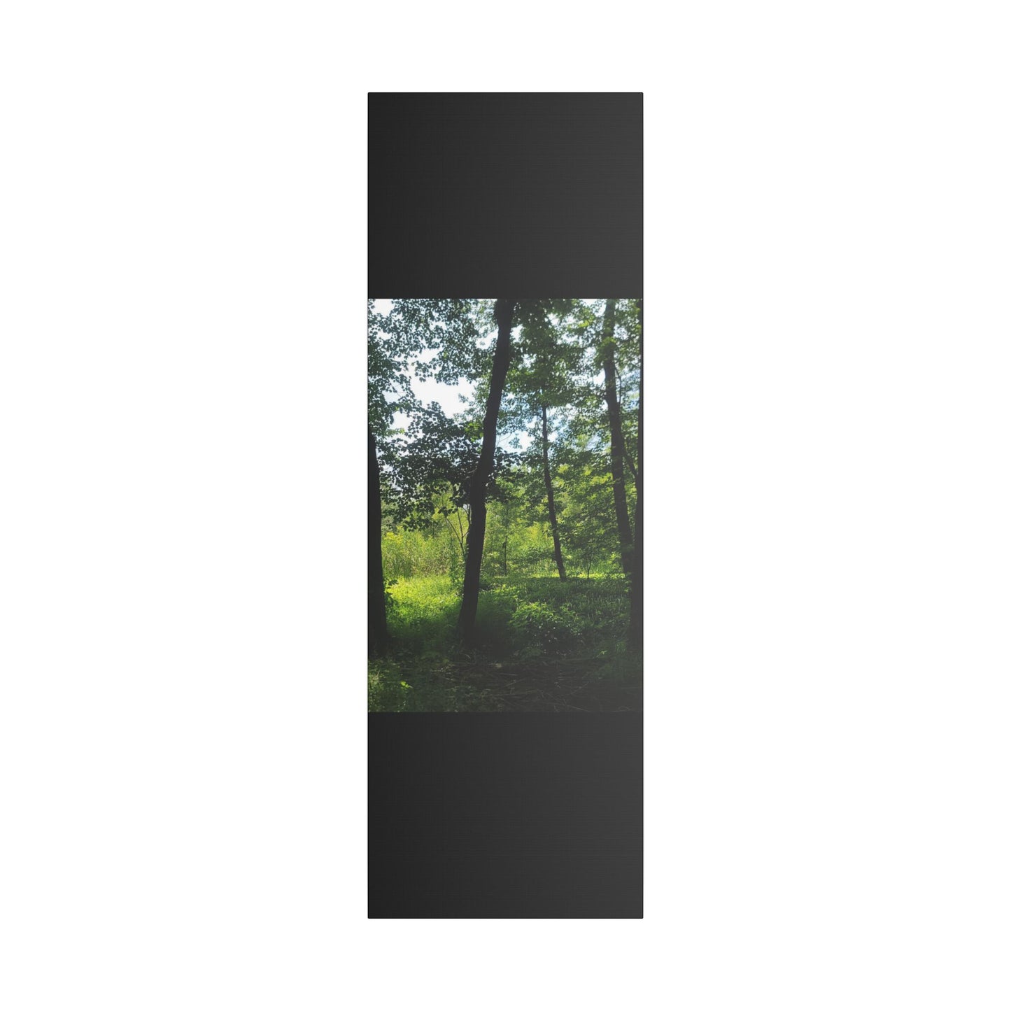 Scenic Canvas Wall Art - Nature-Inspired Home Decor, Forest Scene, Wall Hanging, Gift for Nature Lovers, Greenery Print