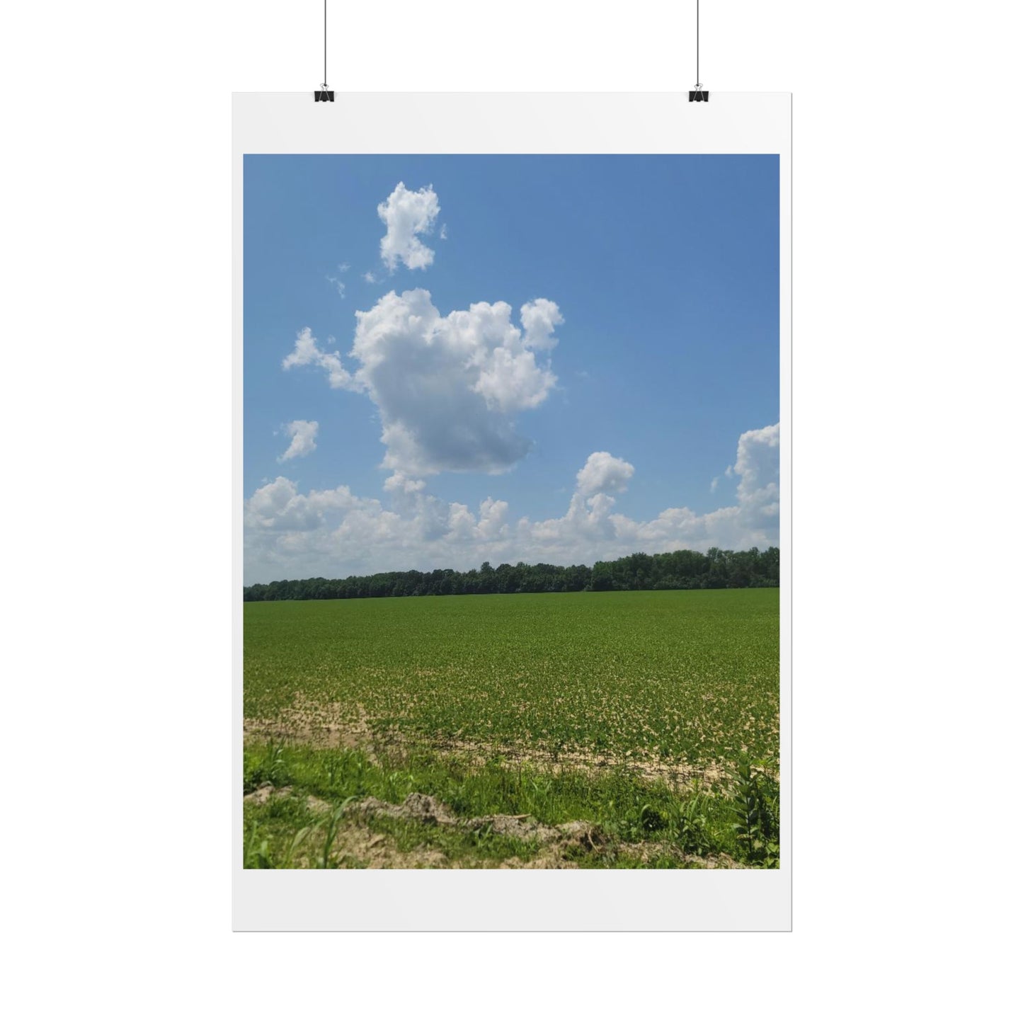 Nature Landscape Poster, Wall Art Print, Scenic Home Decor, Gift for Nature Lovers, Farmhouse Style Decoration, Office Wall Art