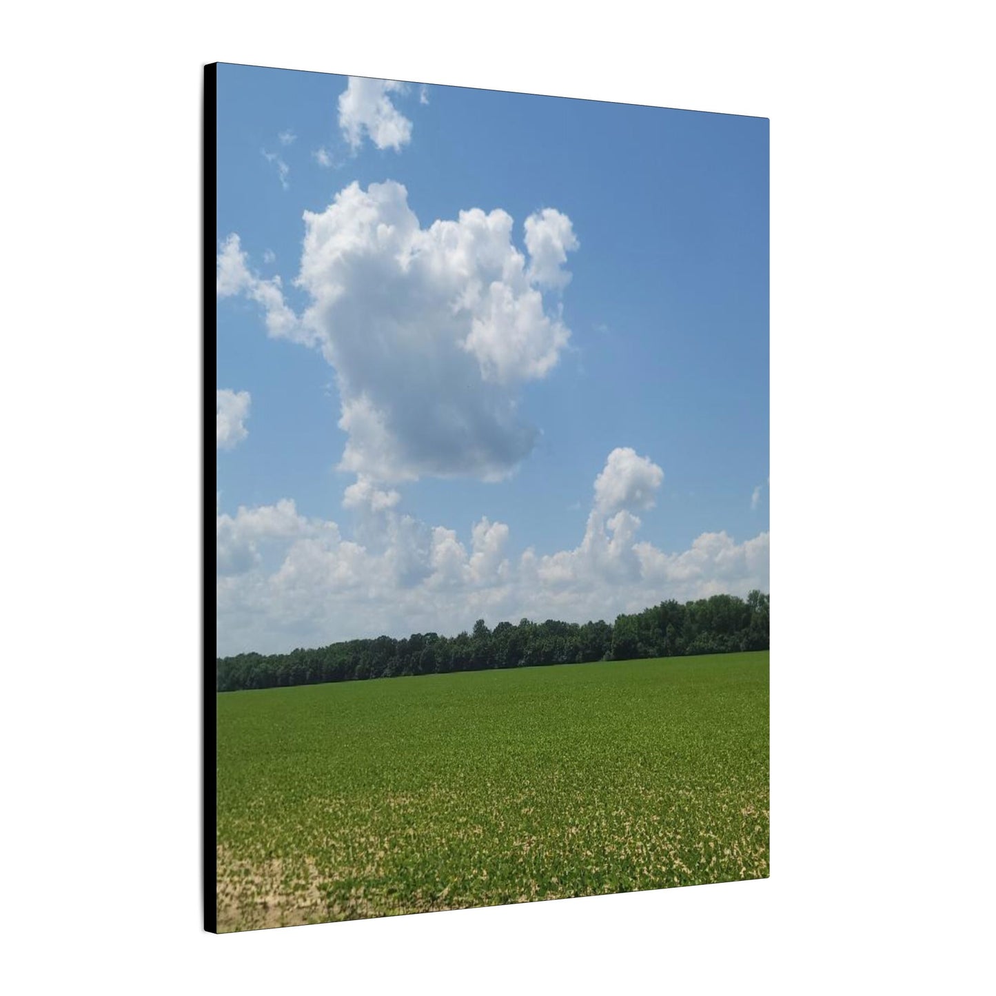 Serene Landscape Canvas Wall Art, Nature Decor for Home, Farmhouse, Gift for Nature Lovers, Rustic Wall Art, Living Room Decoration