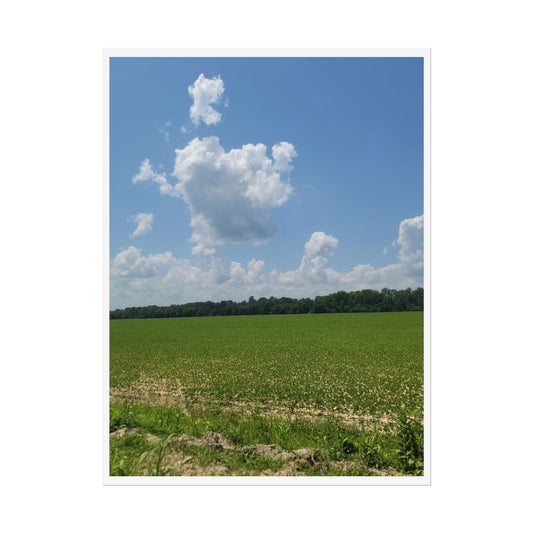 Nature Landscape Poster, Wall Art Print, Scenic Home Decor, Gift for Nature Lovers, Farmhouse Style Decoration, Office Wall Art
