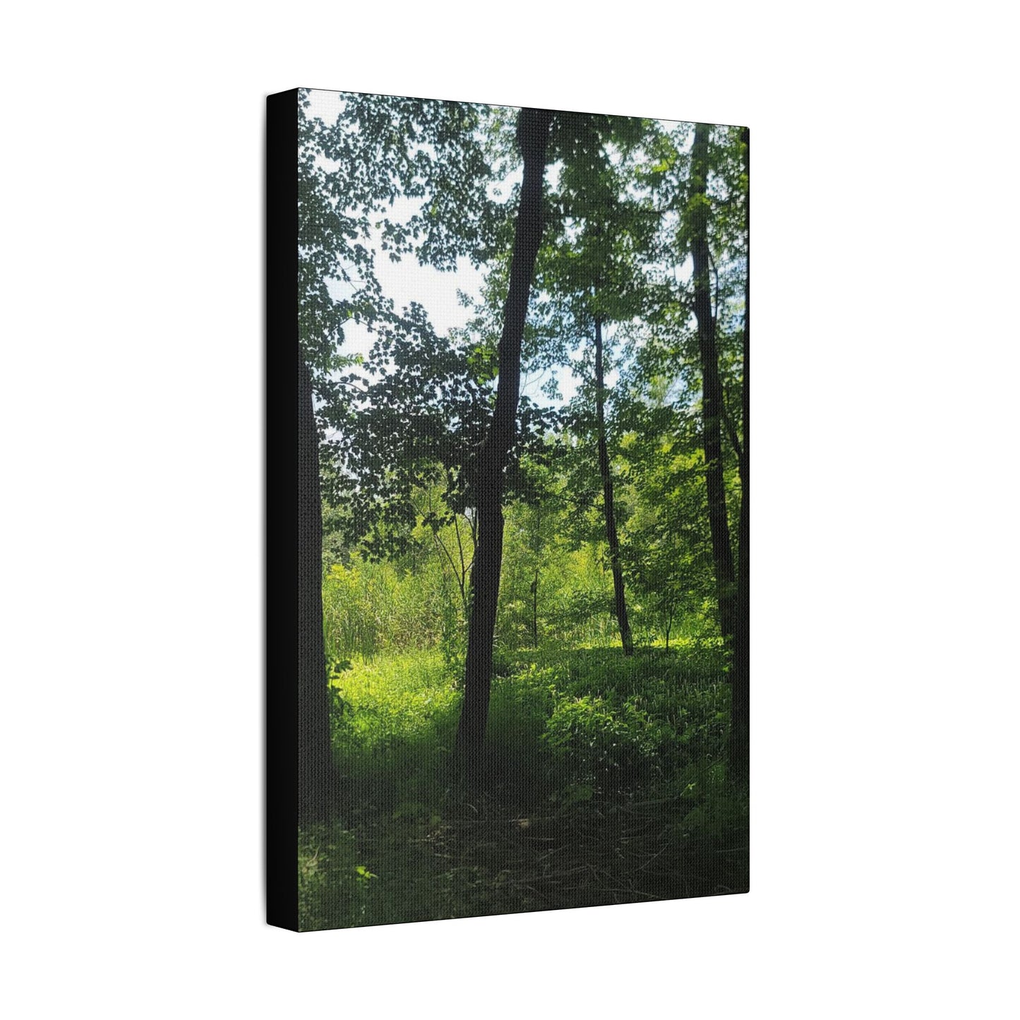 Scenic Canvas Wall Art - Nature-Inspired Home Decor, Forest Scene, Wall Hanging, Gift for Nature Lovers, Greenery Print
