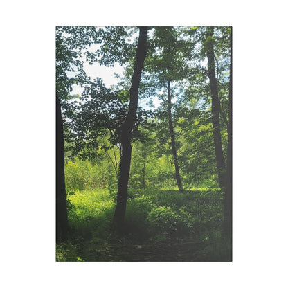 Scenic Canvas Wall Art - Nature-Inspired Home Decor, Forest Scene, Wall Hanging, Gift for Nature Lovers, Greenery Print