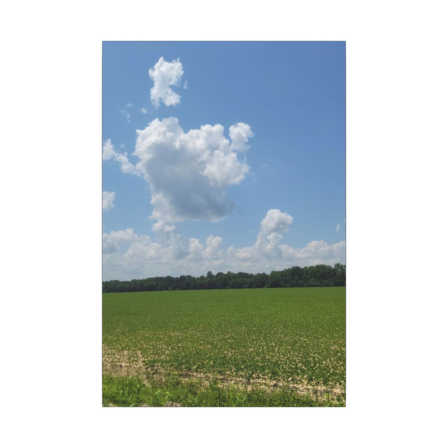 Serene Landscape Canvas Wall Art, Nature Decor for Home, Farmhouse, Gift for Nature Lovers, Rustic Wall Art, Living Room Decoration