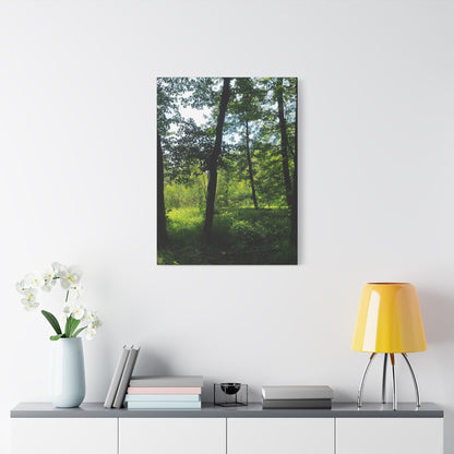 Scenic Canvas Wall Art - Nature-Inspired Home Decor, Forest Scene, Wall Hanging, Gift for Nature Lovers, Greenery Print