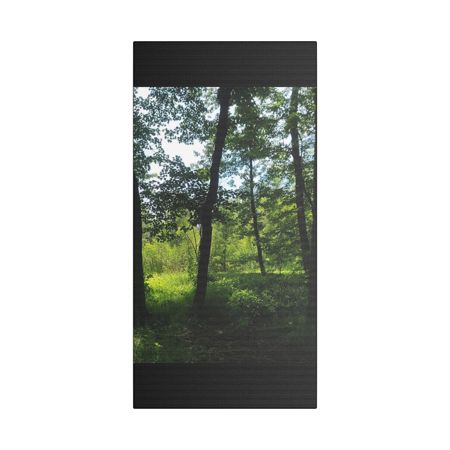 Scenic Canvas Wall Art - Nature-Inspired Home Decor, Forest Scene, Wall Hanging, Gift for Nature Lovers, Greenery Print