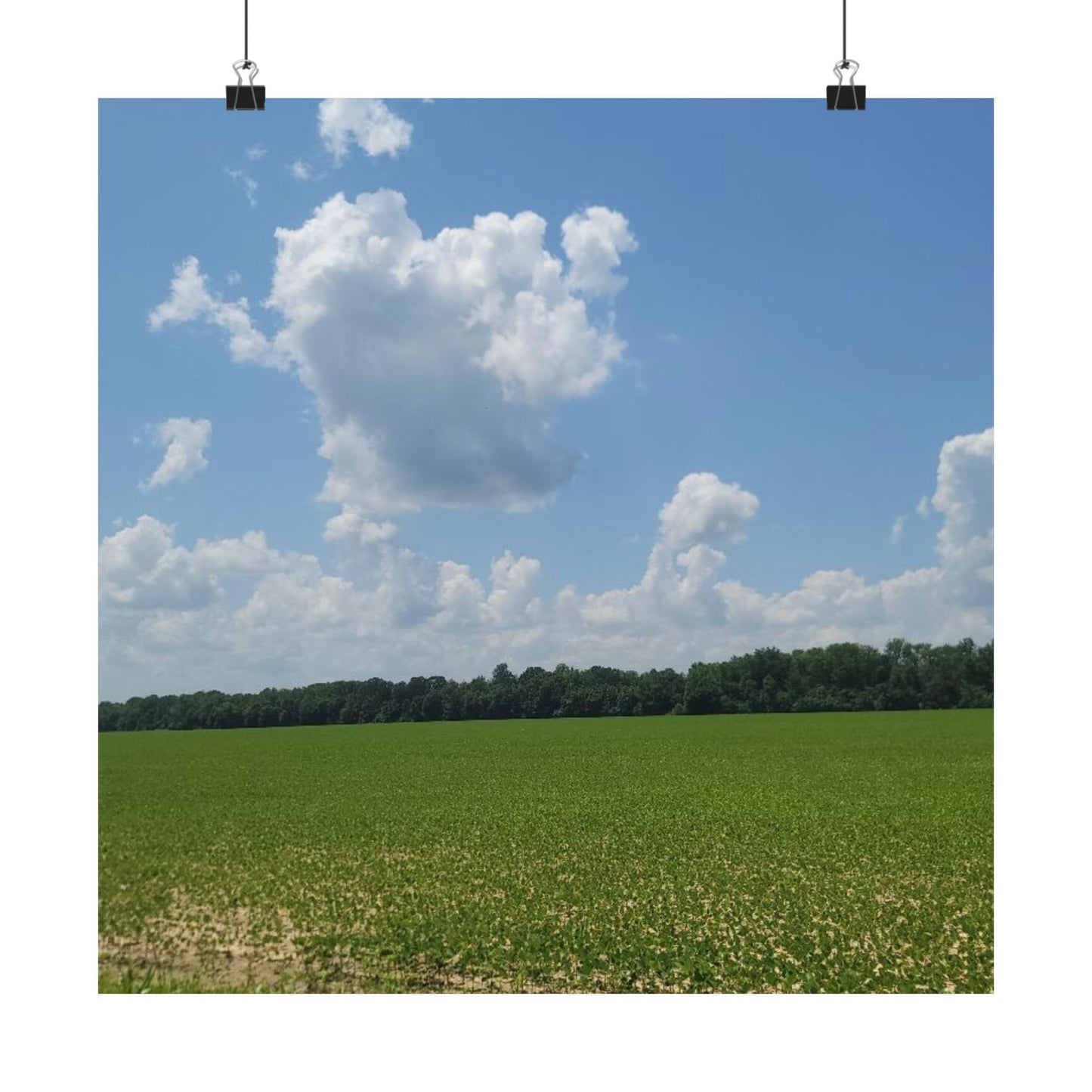 Scenic Matte Horizontal Posters for Home Decor, Wall Art, Nature-Inspired Decoration, Gifts for Nature Lovers, Housewarming Decor