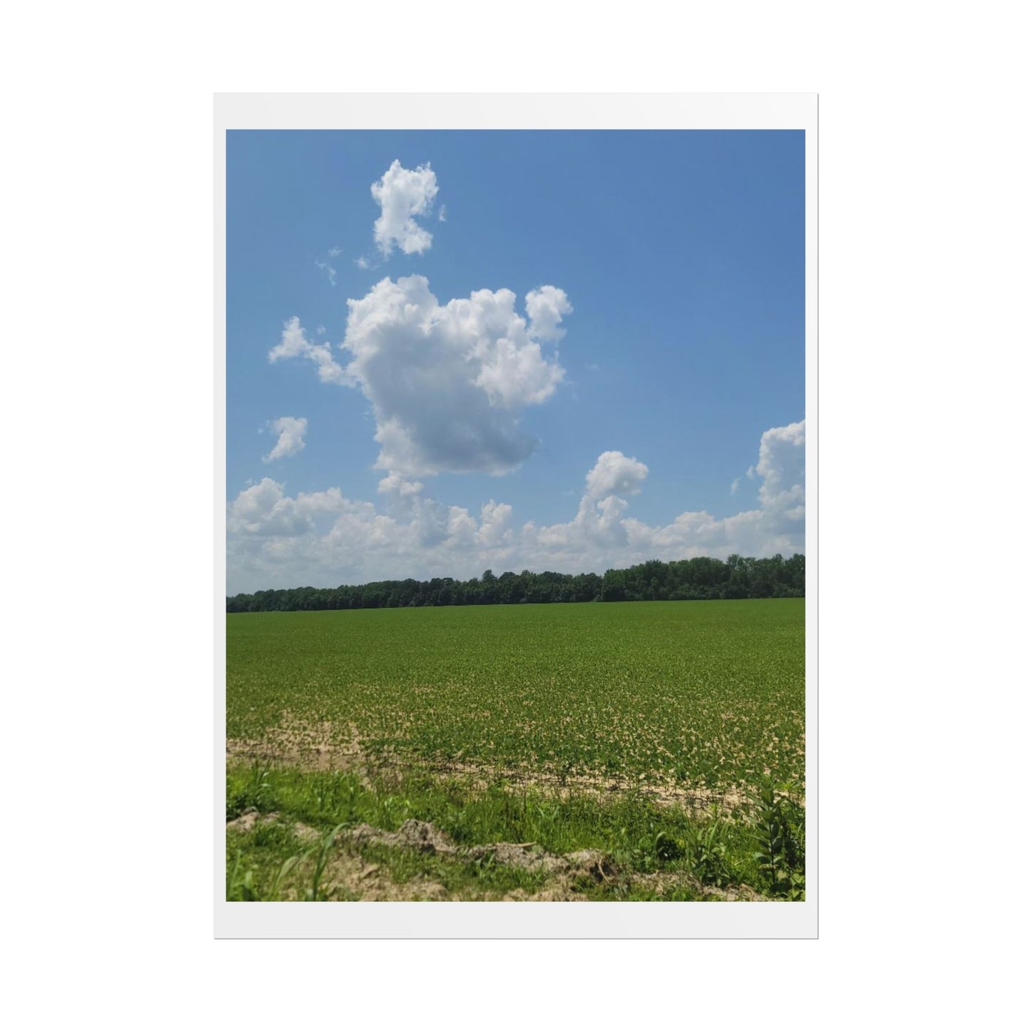 Nature Landscape Poster, Wall Art Print, Scenic Home Decor, Gift for Nature Lovers, Farmhouse Style Decoration, Office Wall Art