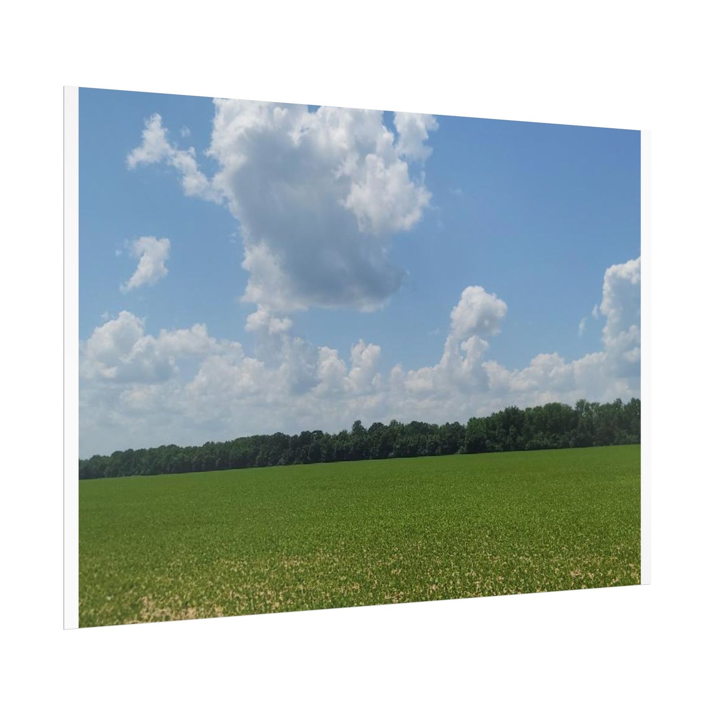 Nature Landscape Poster, Wall Art Print, Scenic Home Decor, Gift for Nature Lovers, Farmhouse Style Decoration, Office Wall Art