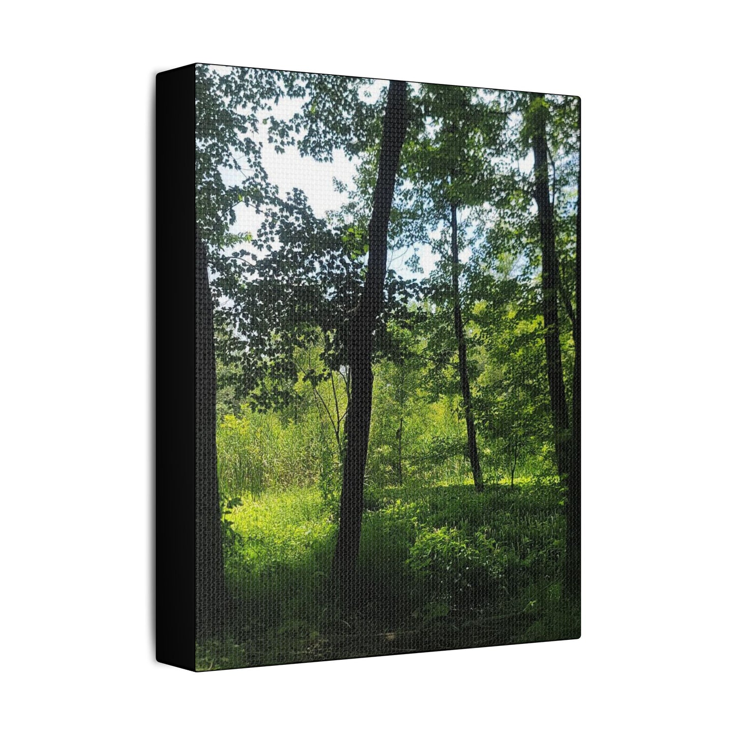 Scenic Canvas Wall Art - Nature-Inspired Home Decor, Forest Scene, Wall Hanging, Gift for Nature Lovers, Greenery Print